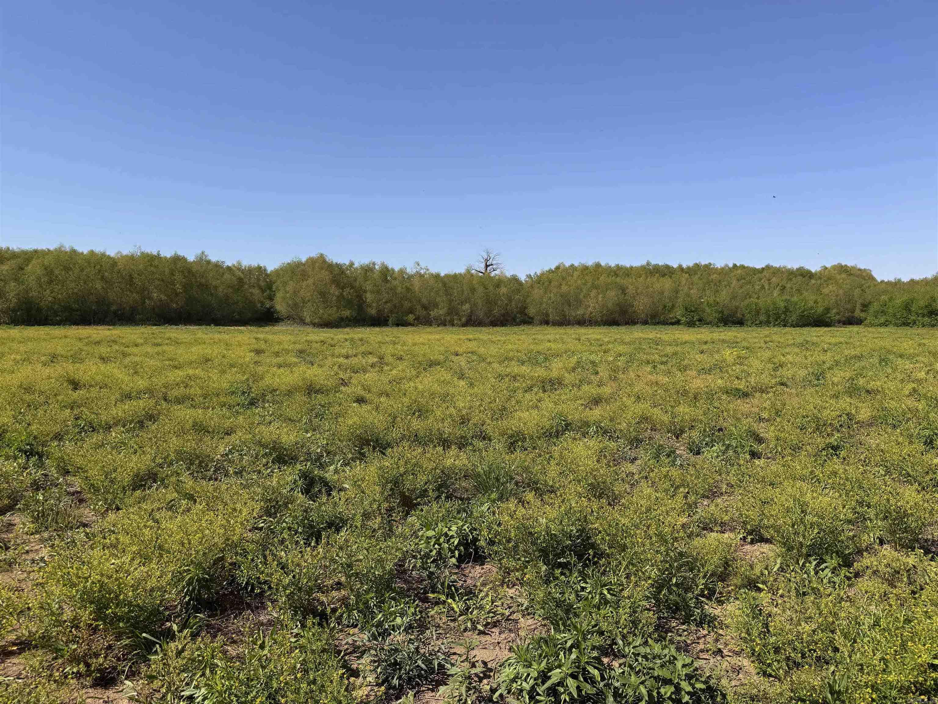 001 Arm Lake  Bradford, AR