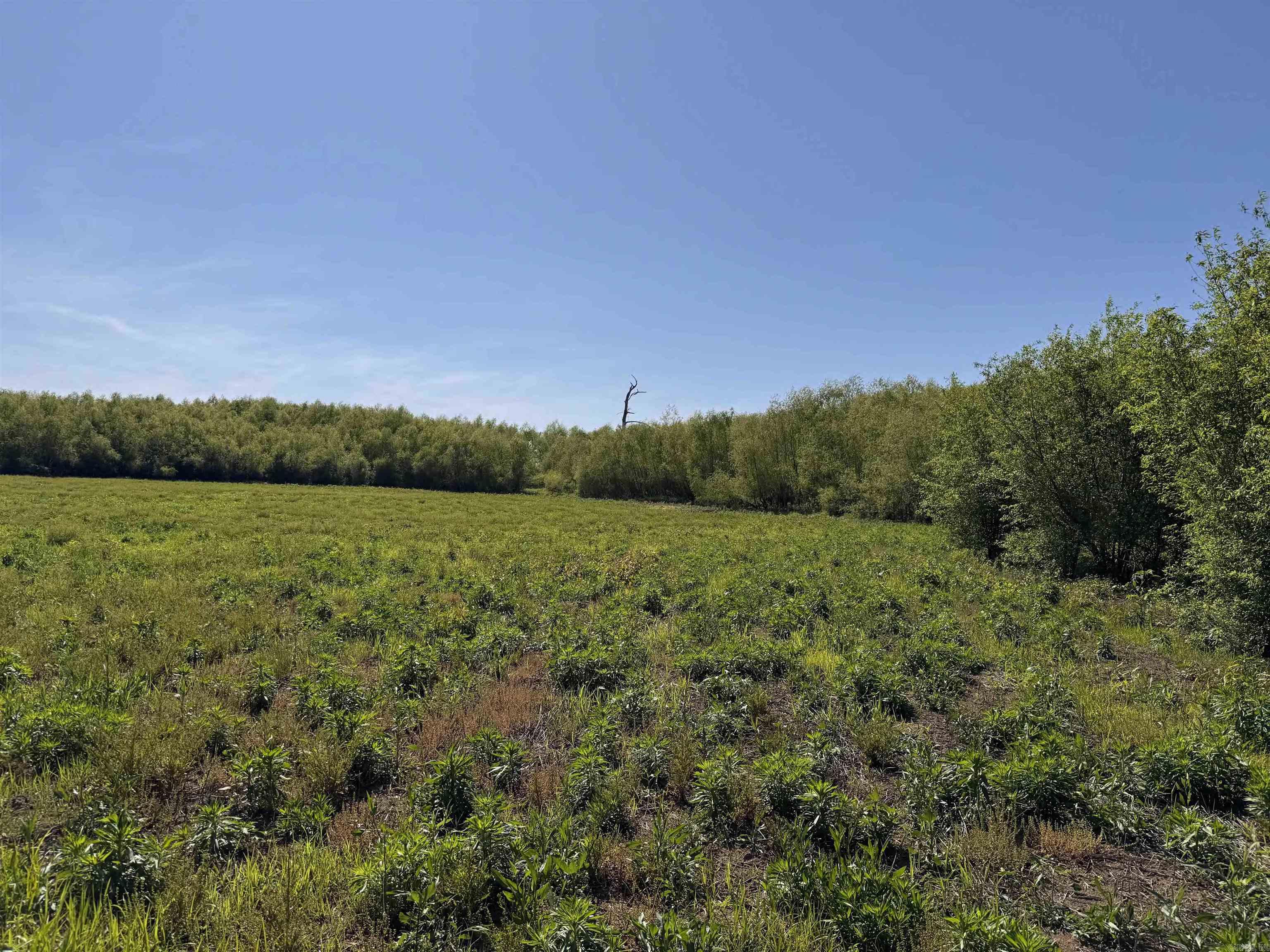 001 Arm Lake  Bradford, AR