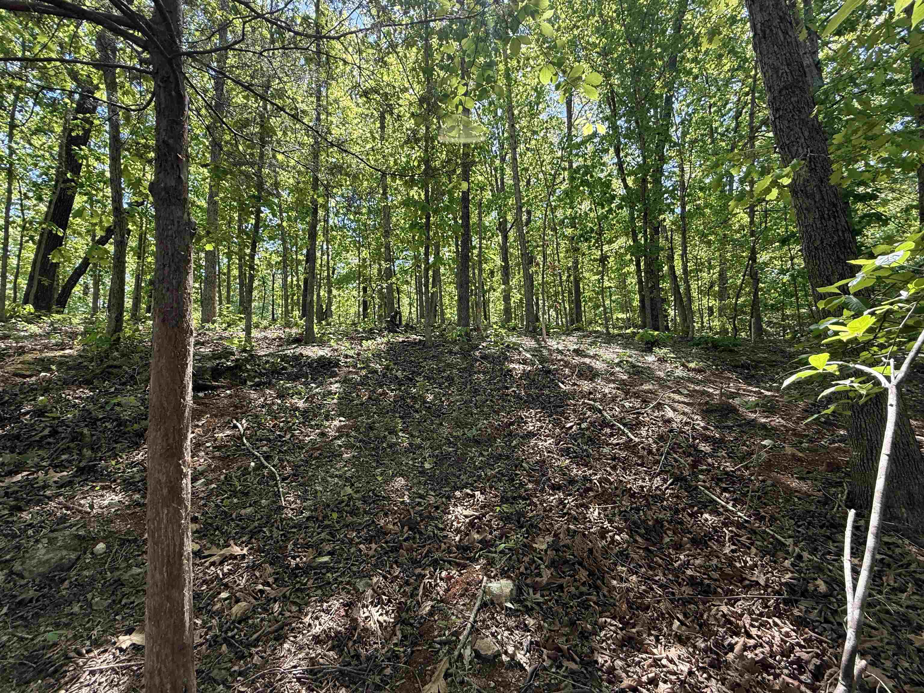 200 Isabella Lane  Horseshoe Bend, AR