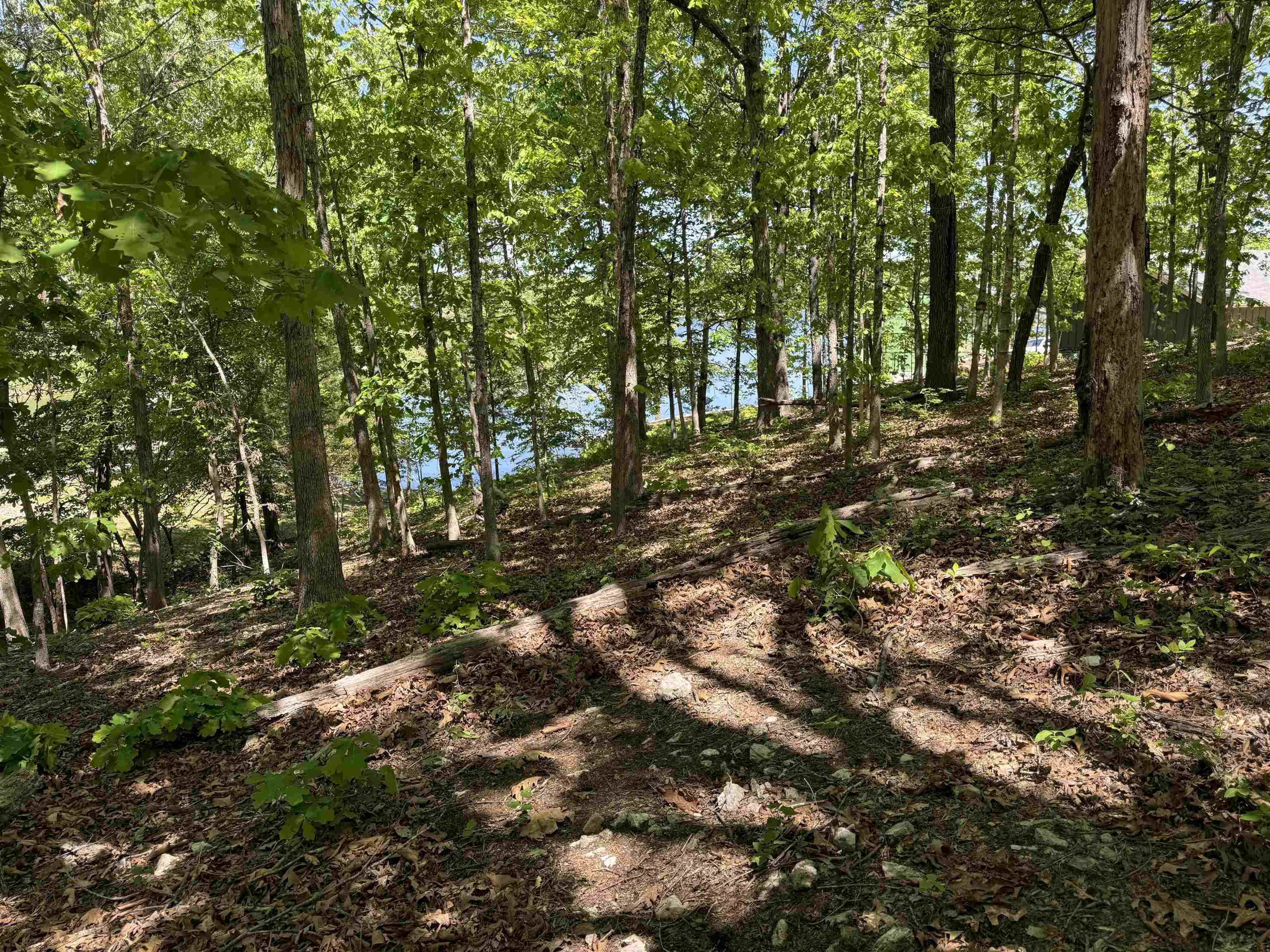 200 Isabella Lane  Horseshoe Bend, AR