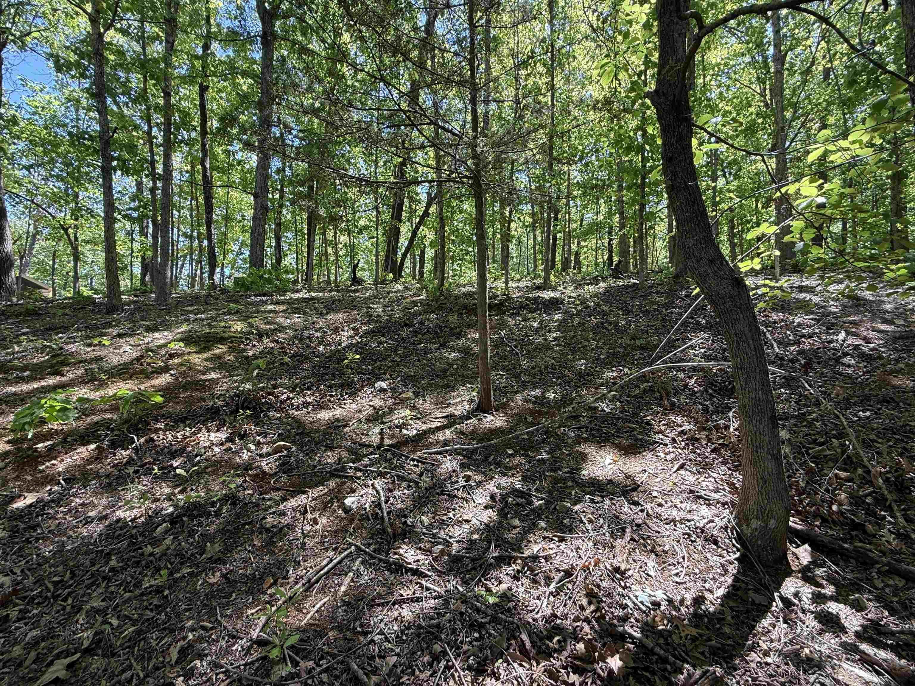 200 Isabella Lane  Horseshoe Bend, AR