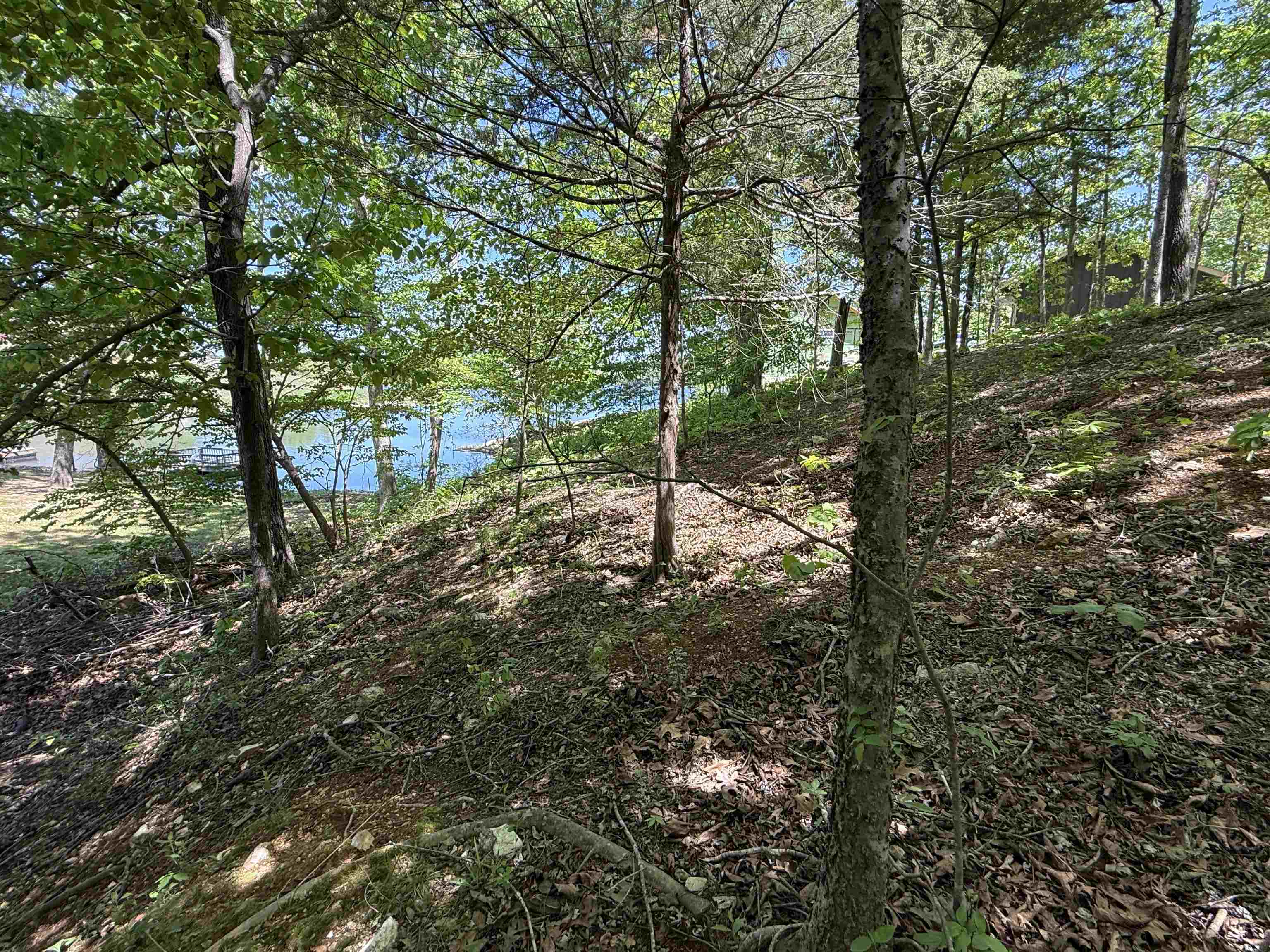 200 Isabella Lane  Horseshoe Bend, AR