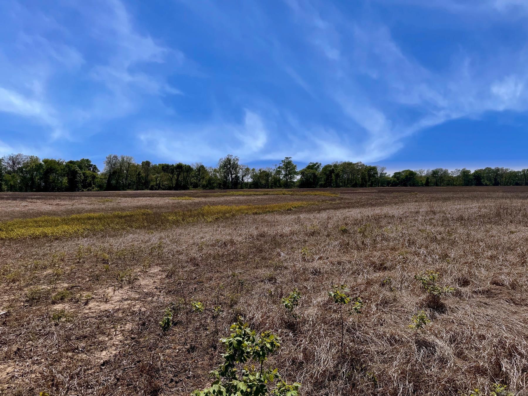 000 Low water bridge  Bradford, AR