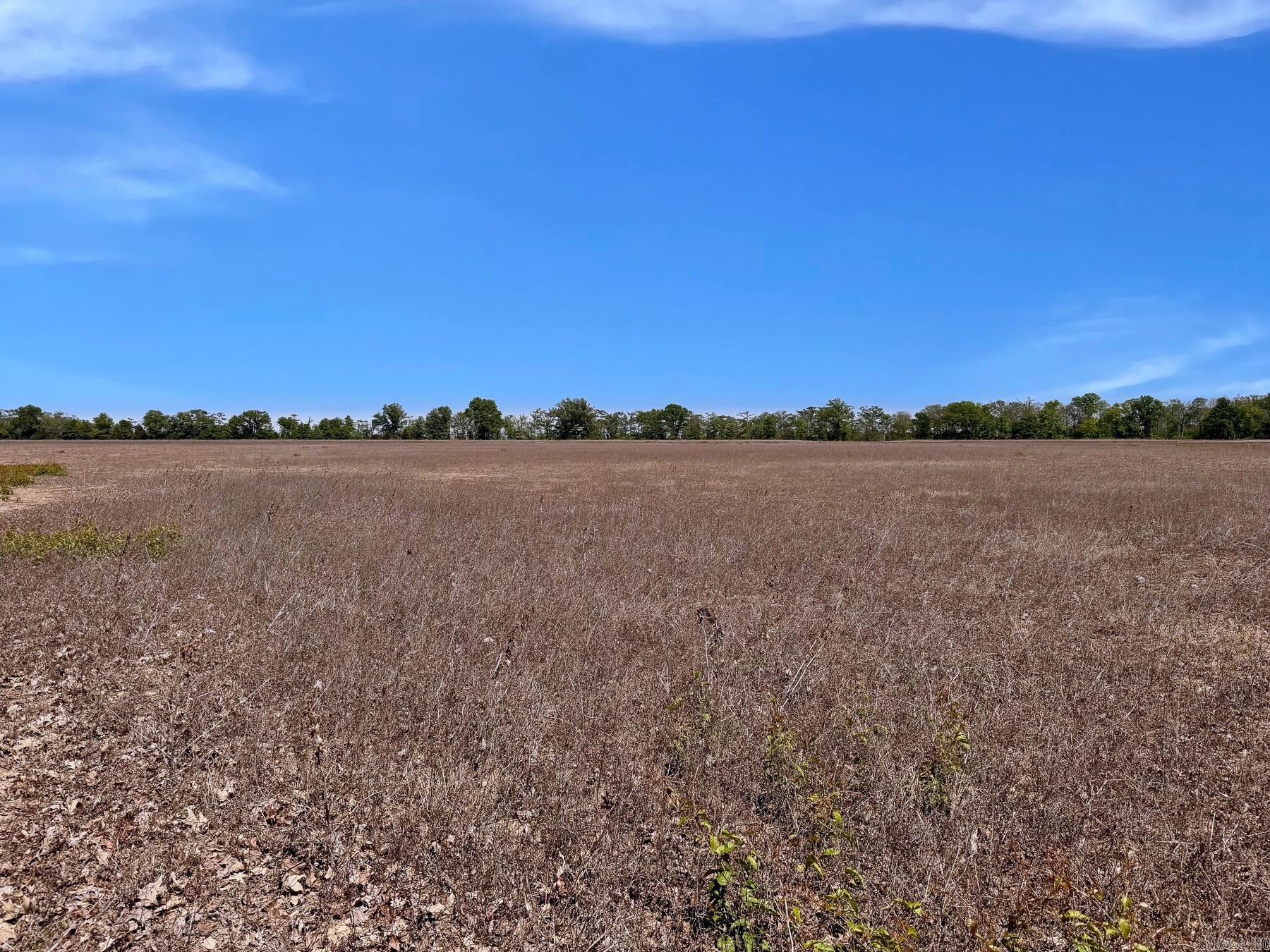 000 Low water bridge  Bradford, AR