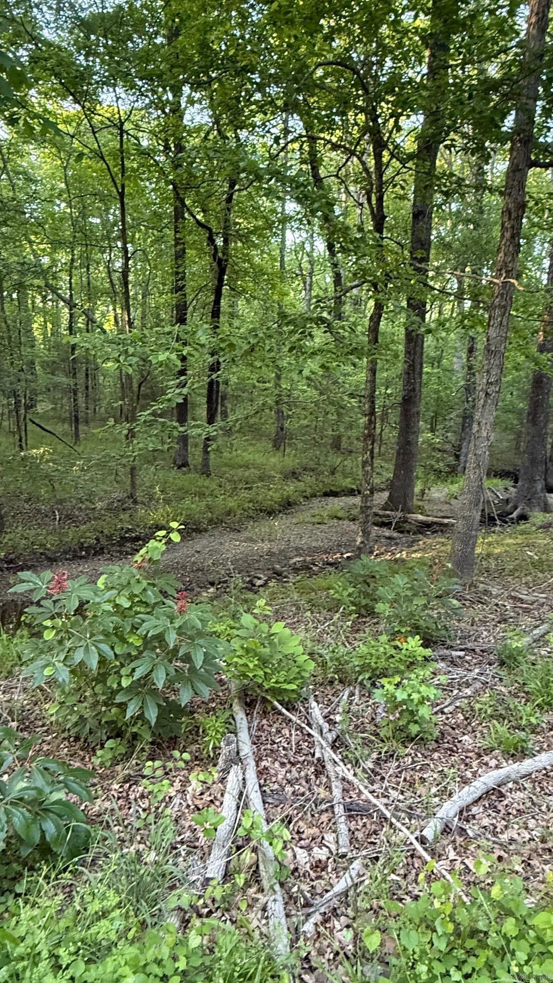 00 Robinson Road  Cabot, AR