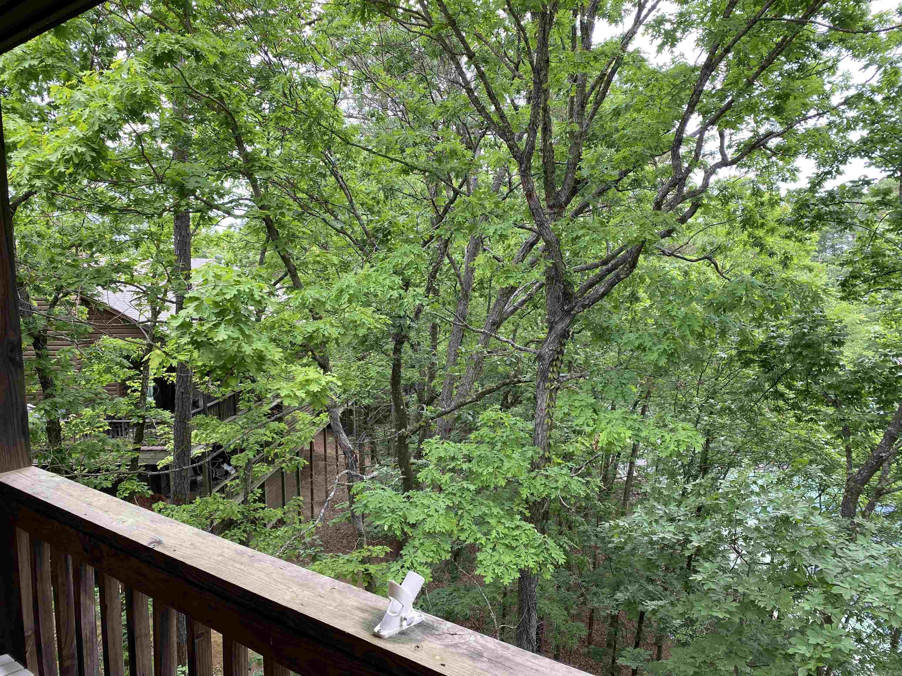 268D Vista  Mount Ida, AR