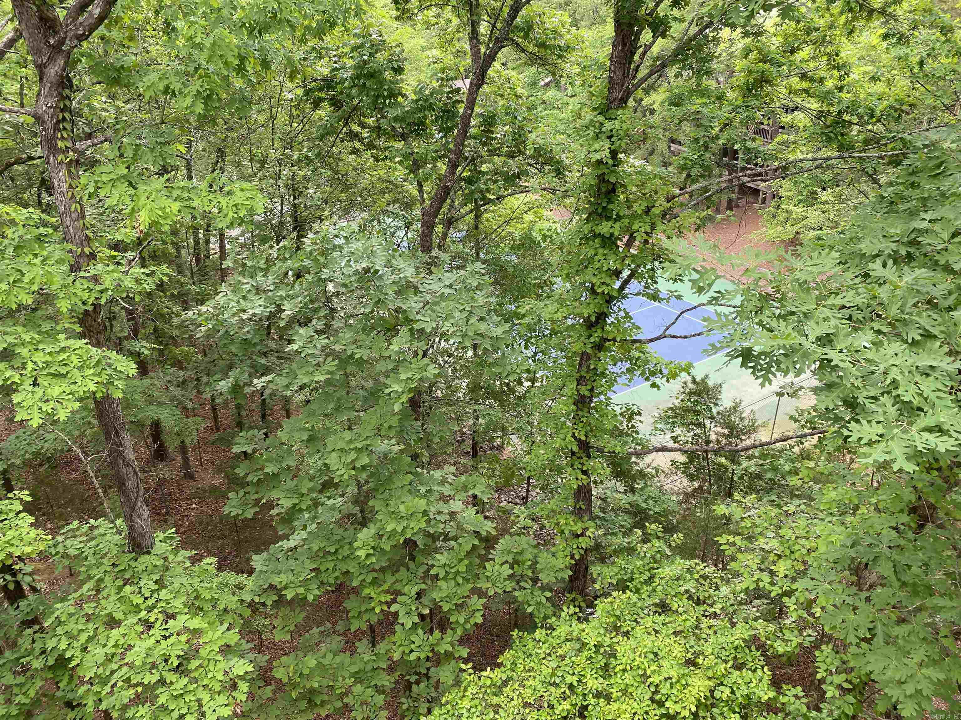 268D Vista  Mount Ida, AR