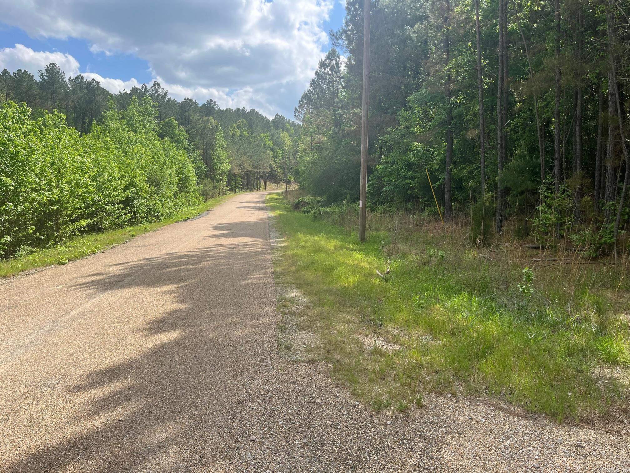 TBD Ten Mile Rd.  Hot Springs, AR