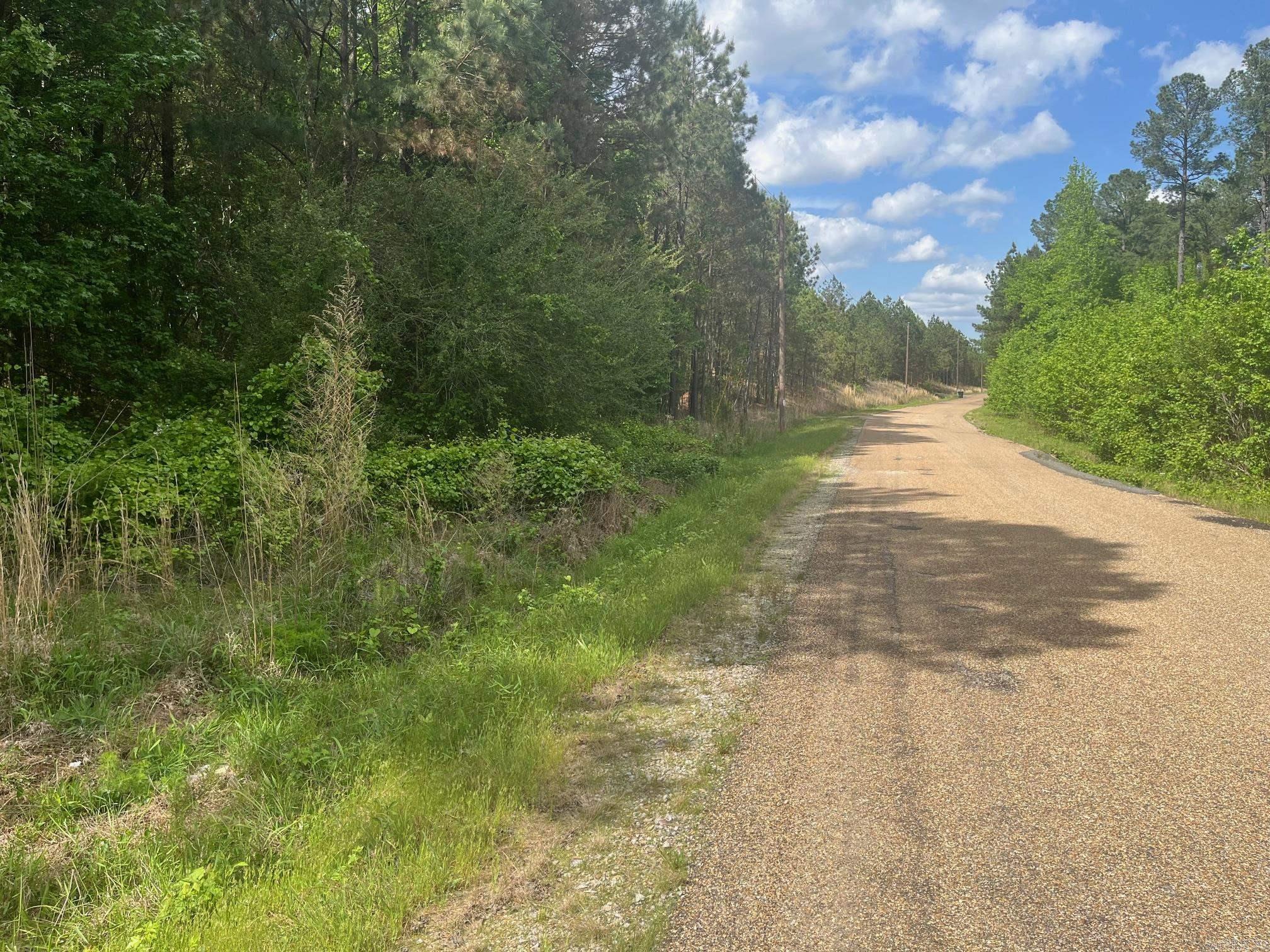 TBD Ten Mile Rd.  Hot Springs, AR