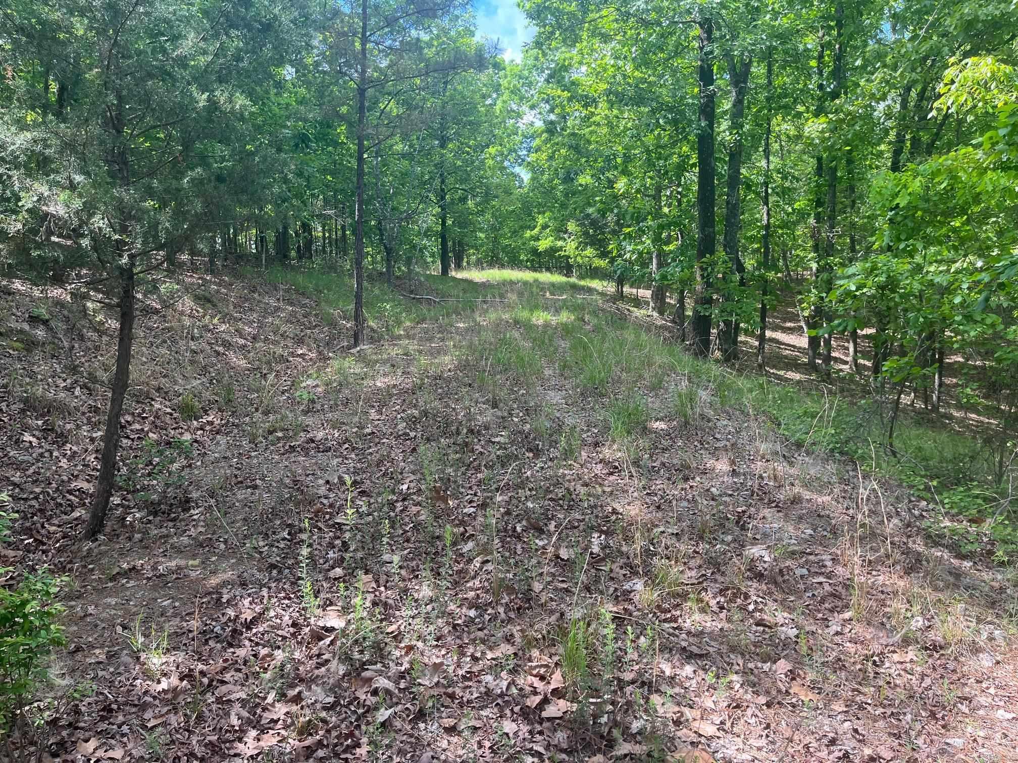 TBD Ten Mile Rd.  Hot Springs, AR