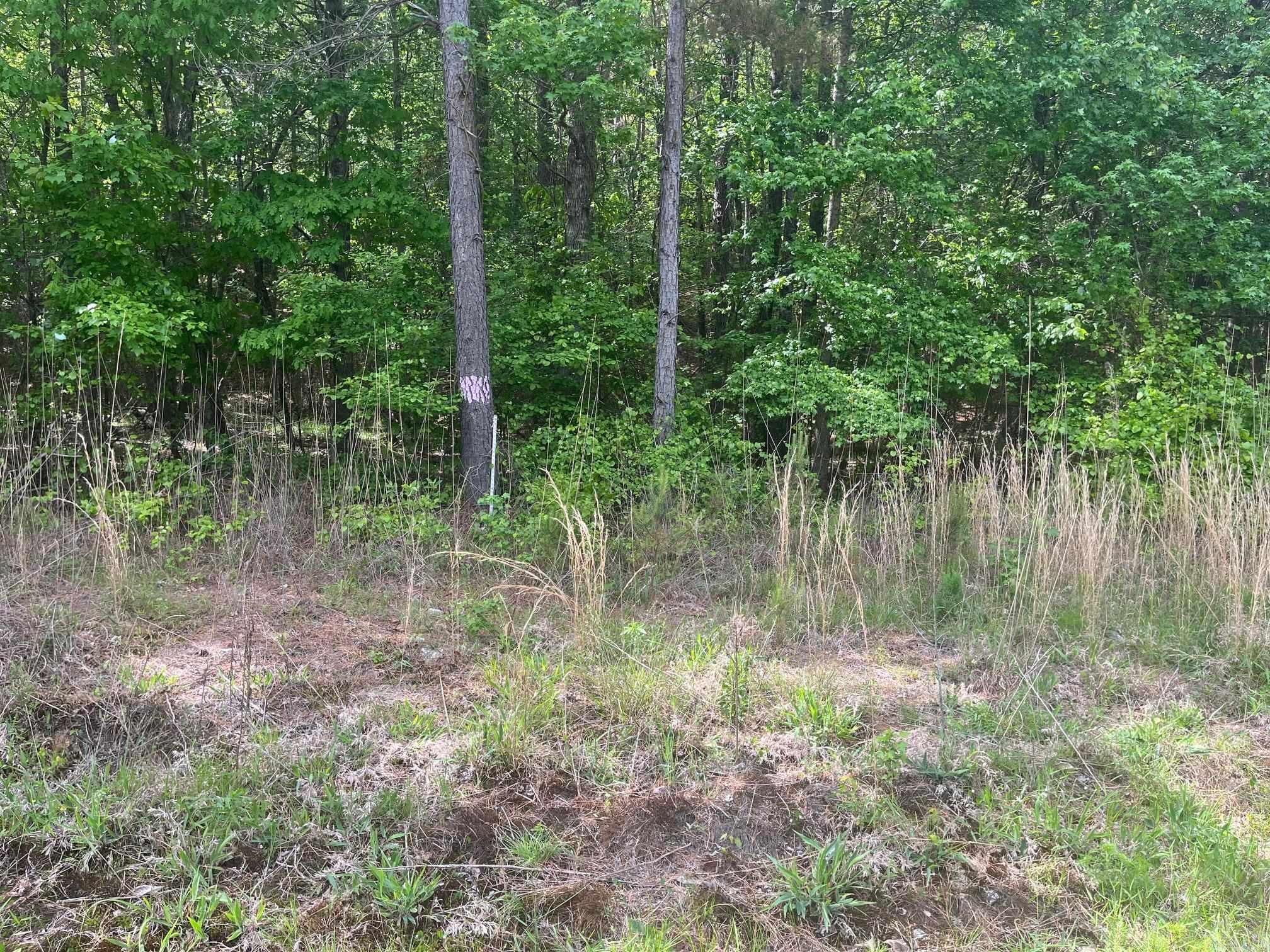 TBD Ten Mile Rd.  Hot Springs, AR