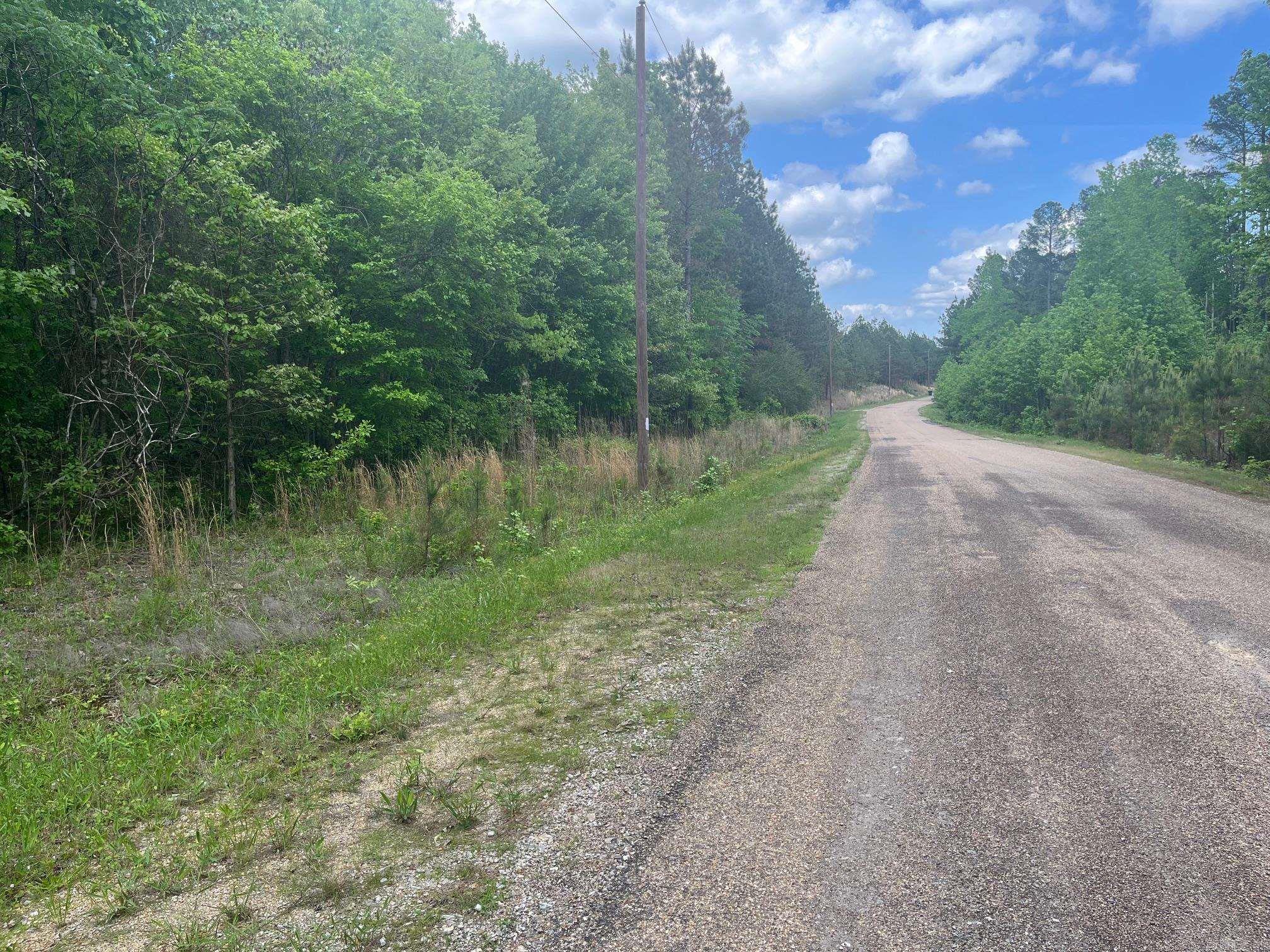 TBD Ten Mile Rd.  Hot Springs, AR