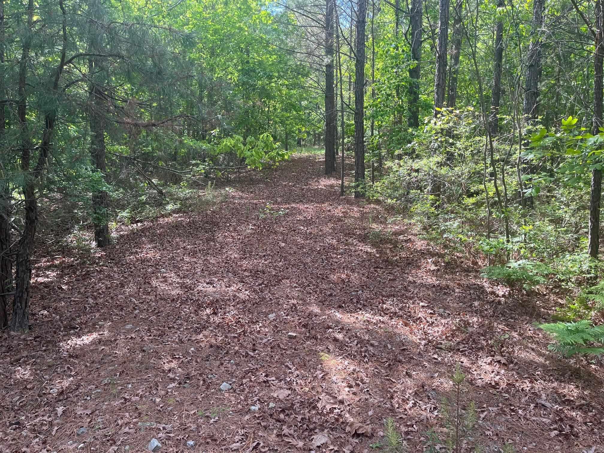 TBD Ten Mile Rd.  Hot Springs, AR