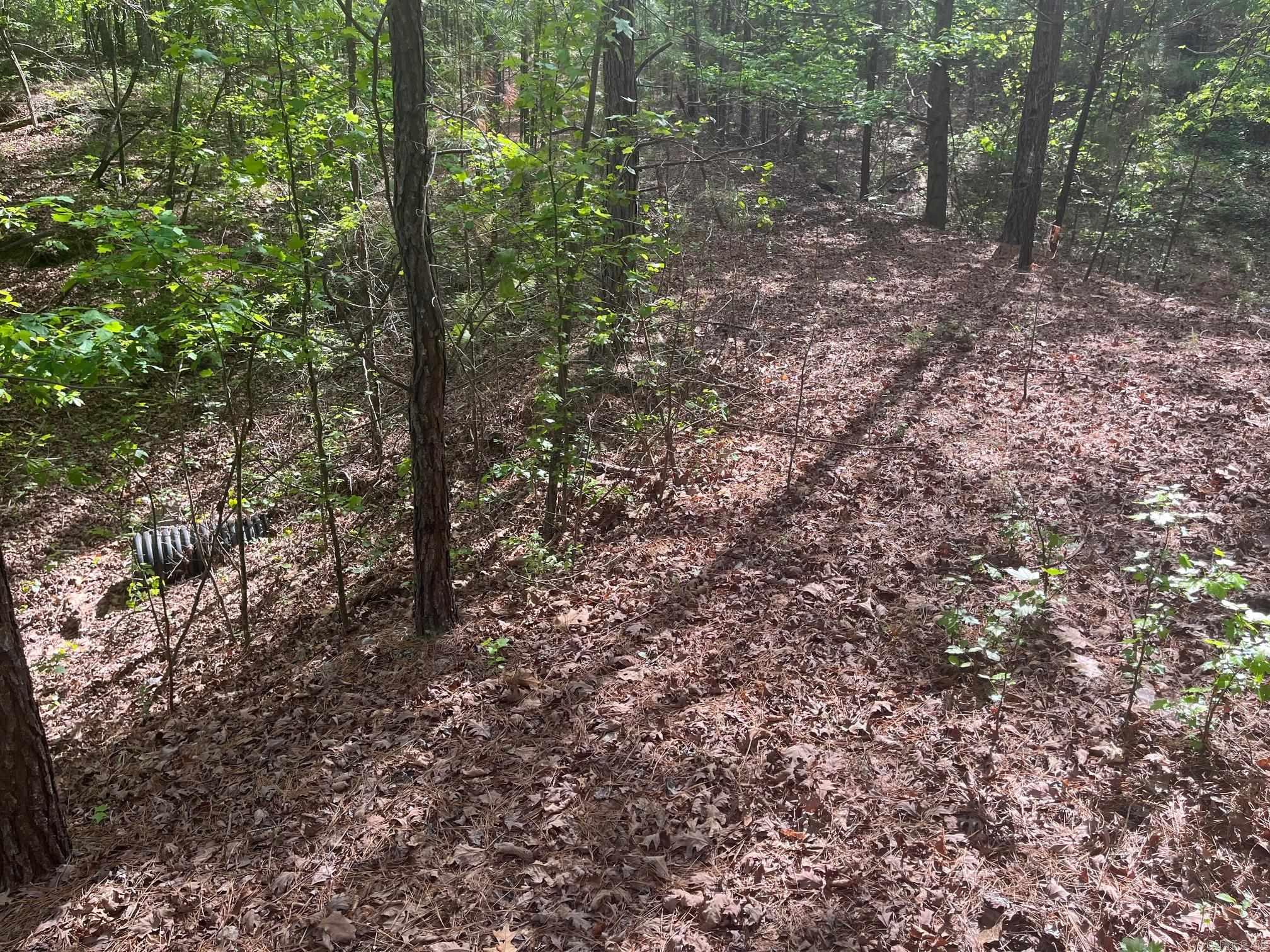 TBD Ten Mile Rd.  Hot Springs, AR