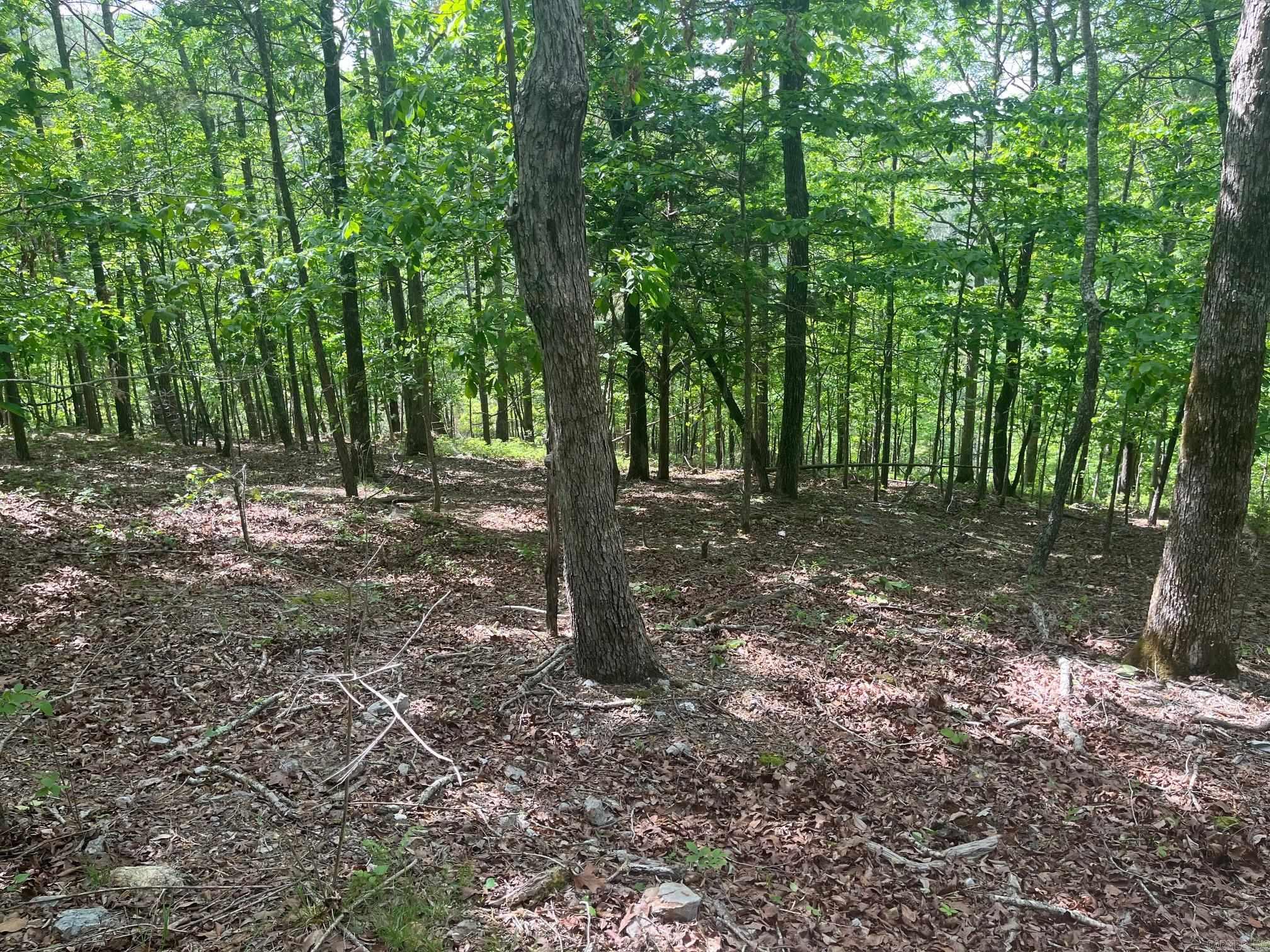 TBD Ten Mile Rd.  Hot Springs, AR