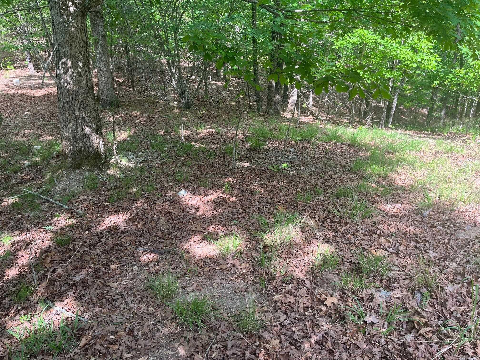 TBD Ten Mile Rd.  Hot Springs, AR