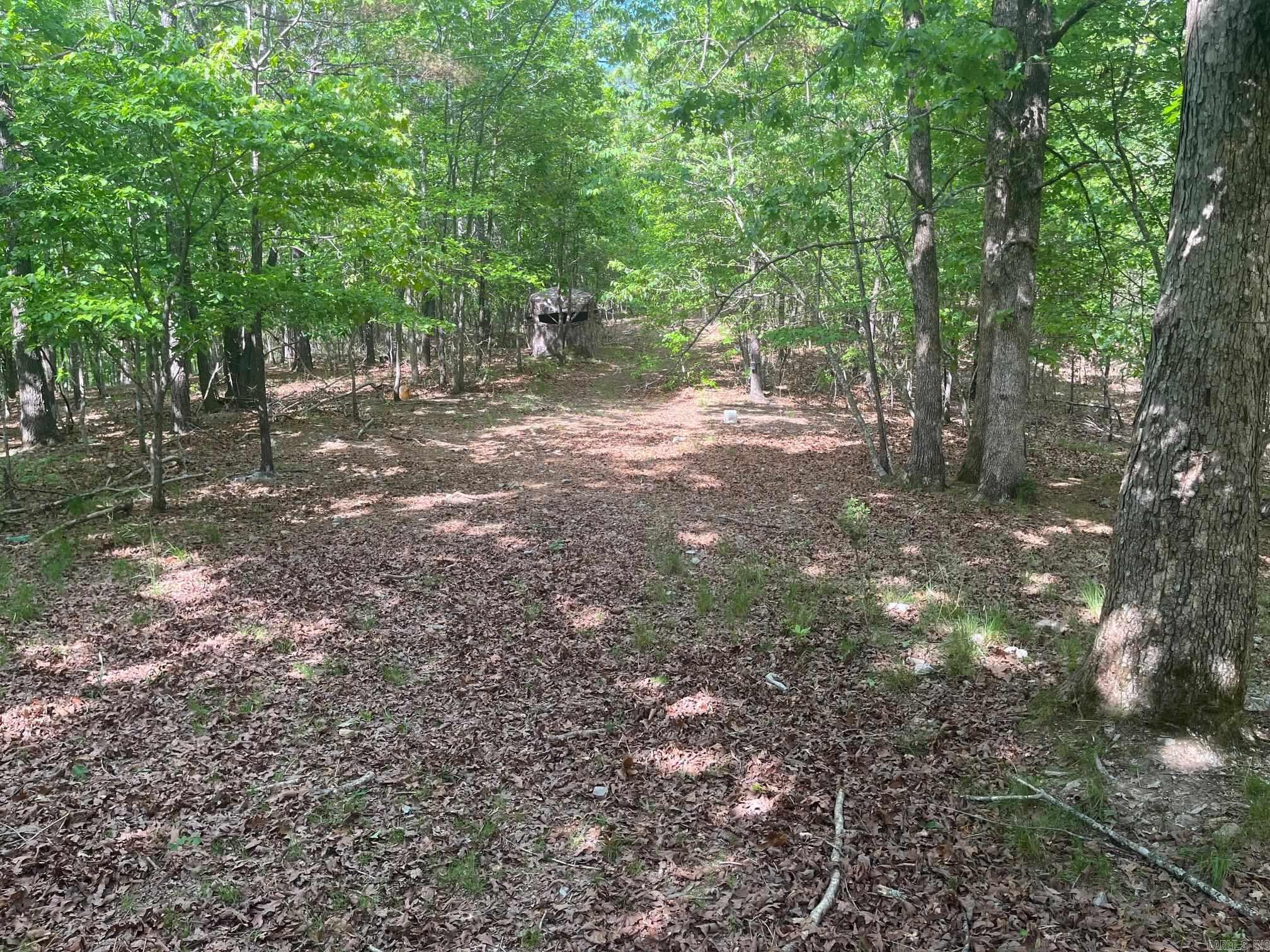 TBD Ten Mile Rd.  Hot Springs, AR