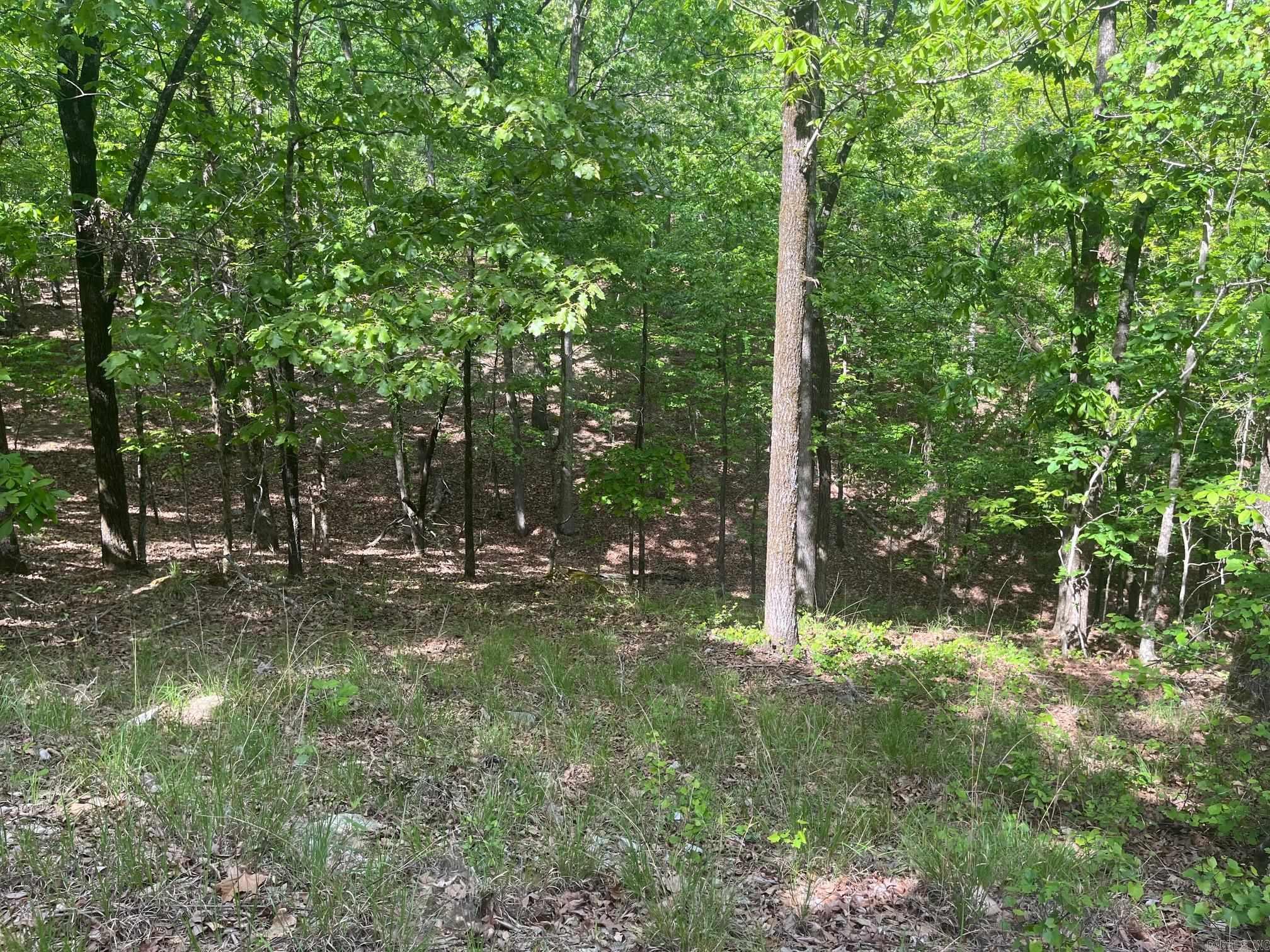 TBD Ten Mile Rd.  Hot Springs, AR