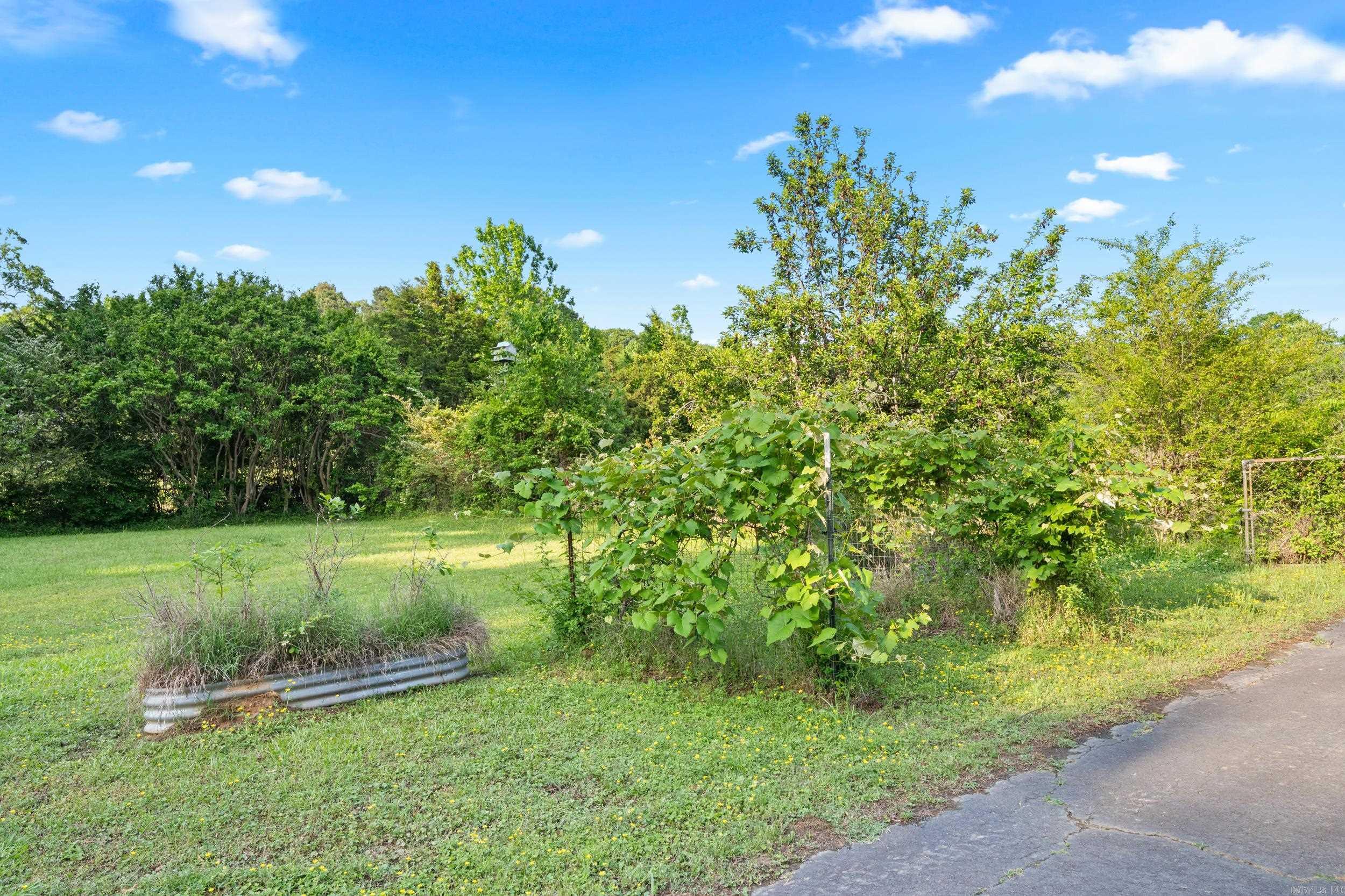 23 Williams Ranch  Conway, AR