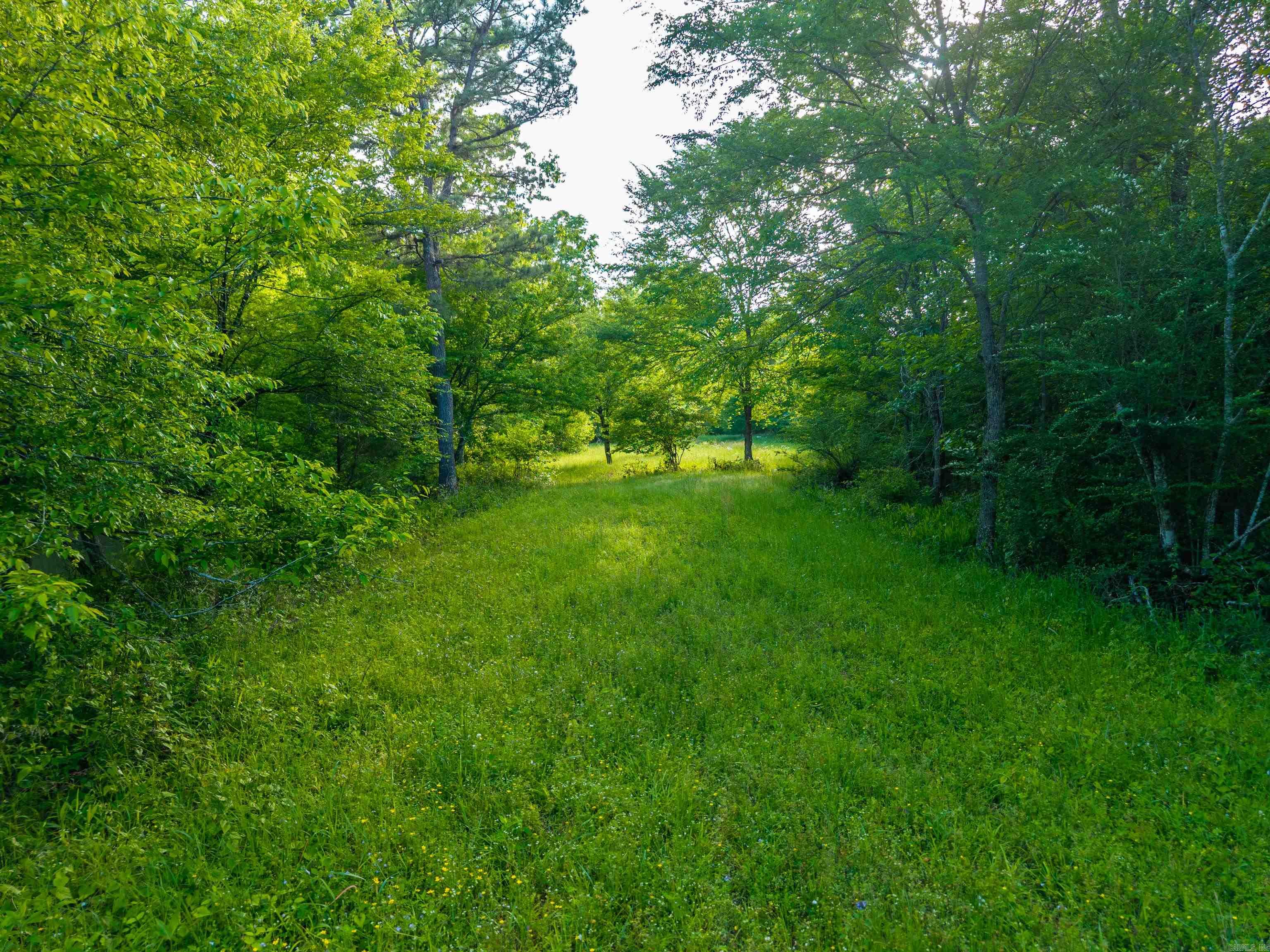 140 W. Hawkview  Royal, AR