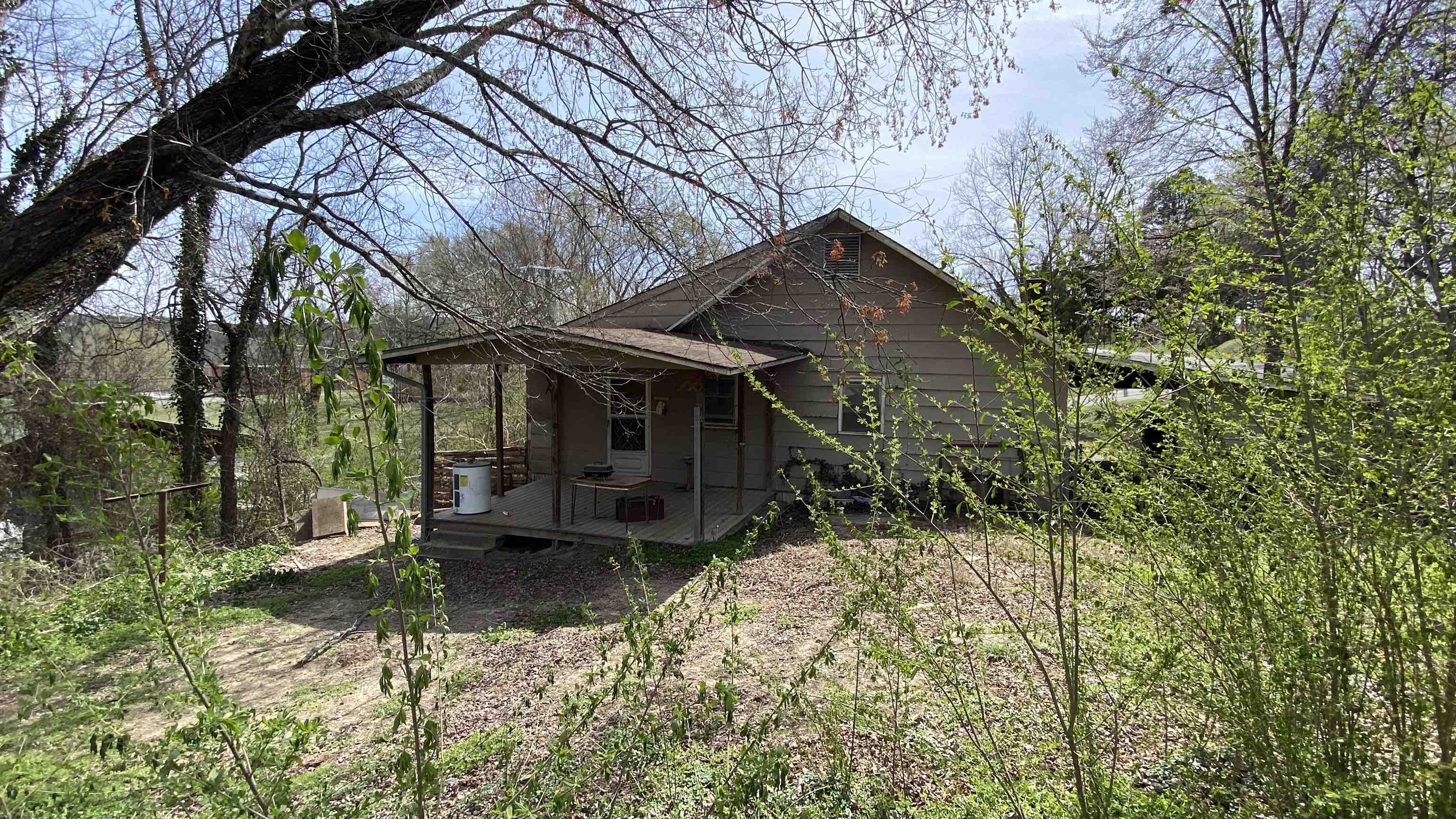 119 Chessmond Ferry Road  Calico Rock, AR