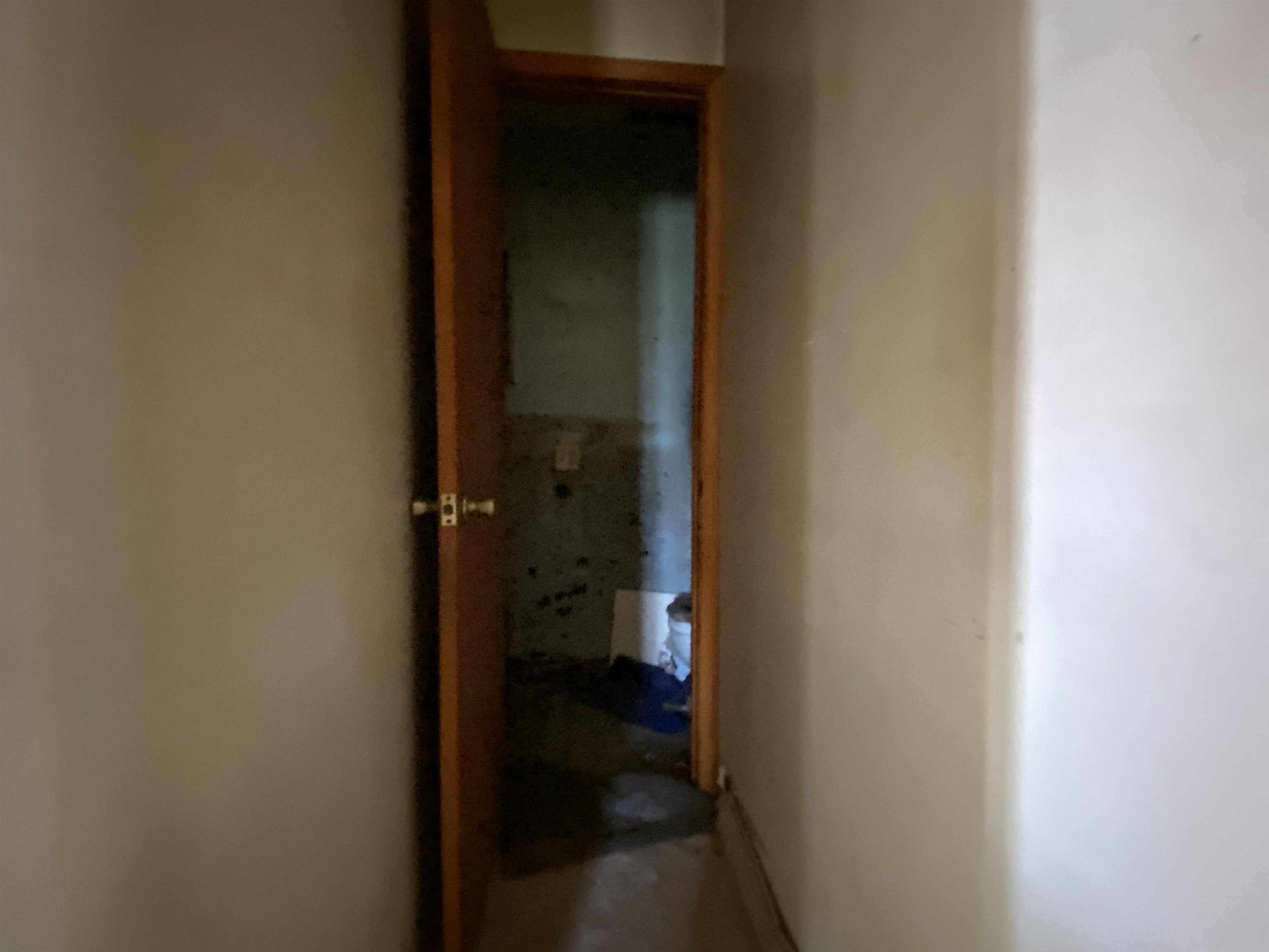 119 Chessmond Ferry Road  Calico Rock, AR