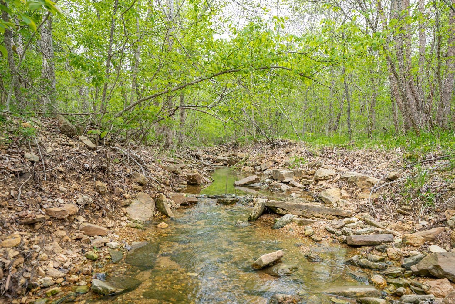 000 Crooked Creek Road  Hartville, MO