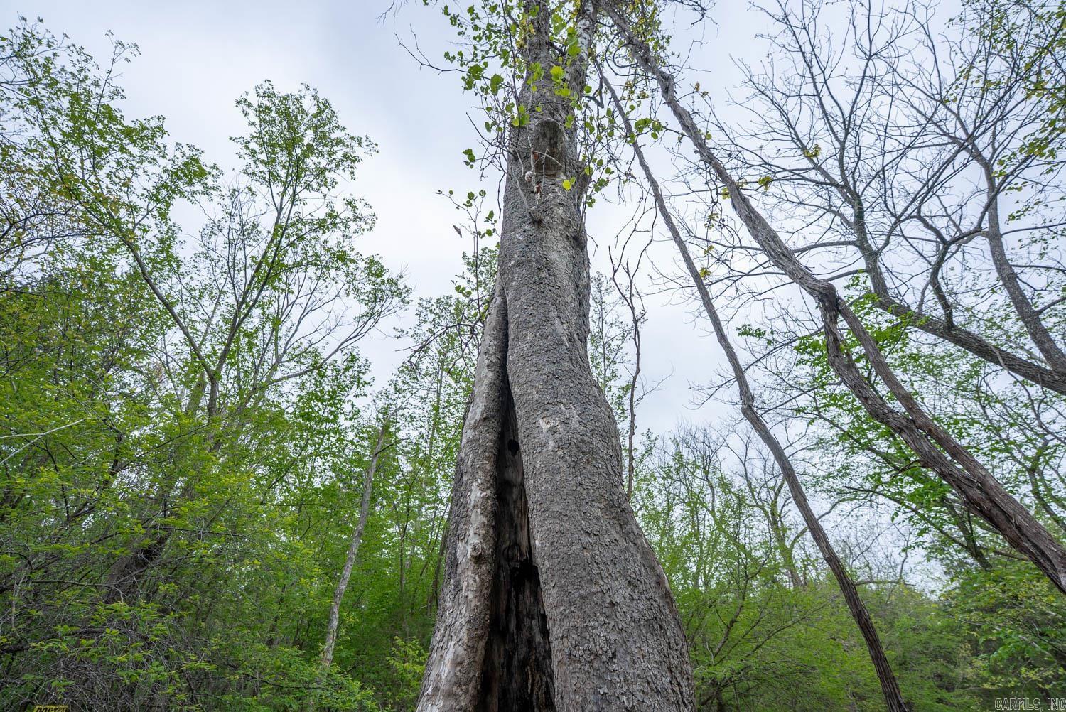 000 Crooked Creek Road  Hartville, MO