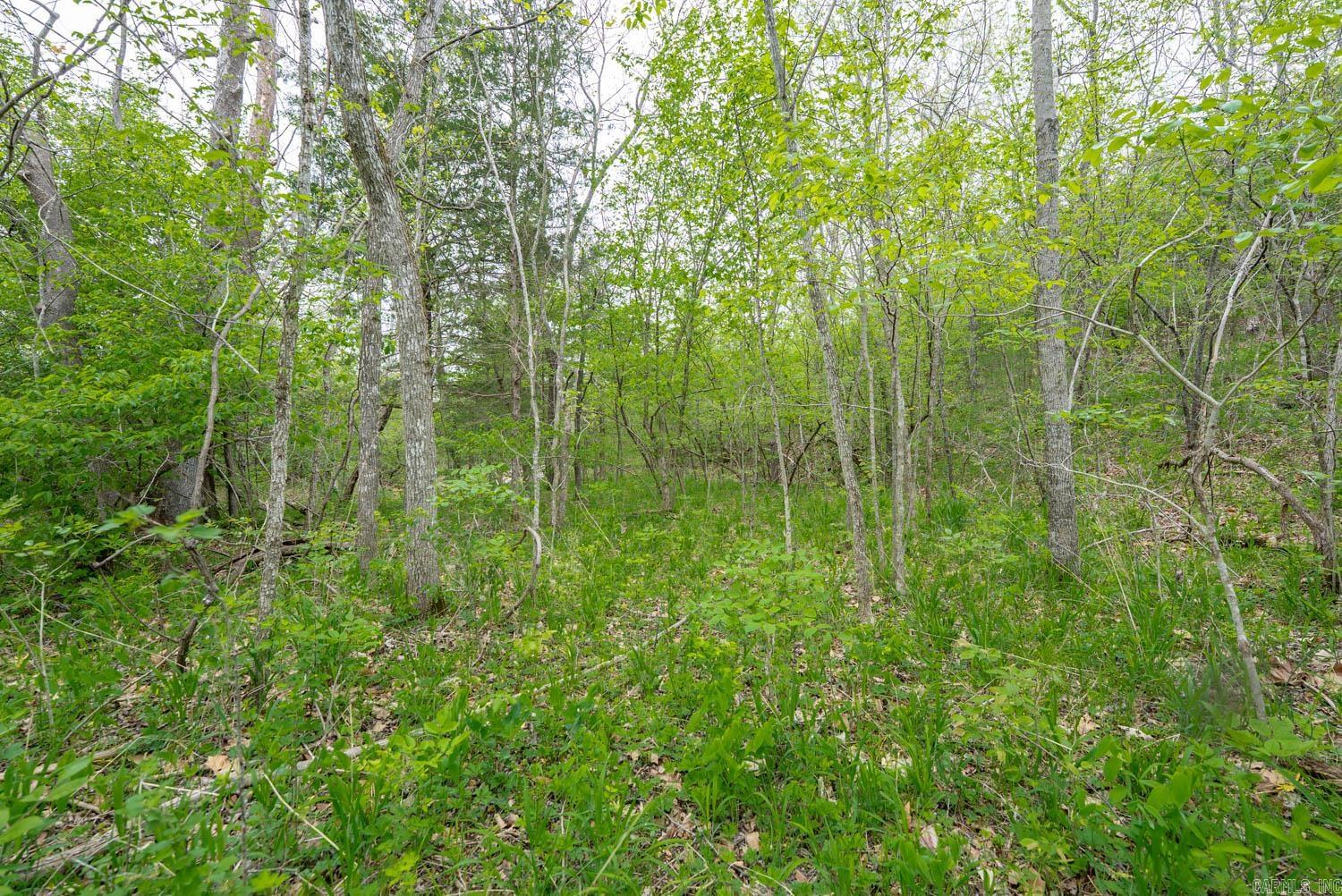 000 Crooked Creek Road  Hartville, MO