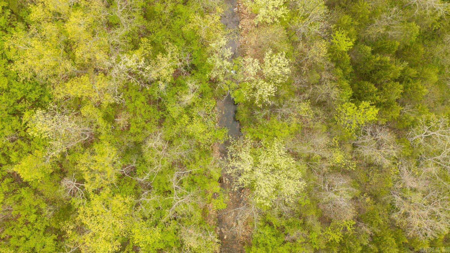 000 Crooked Creek Road  Hartville, MO