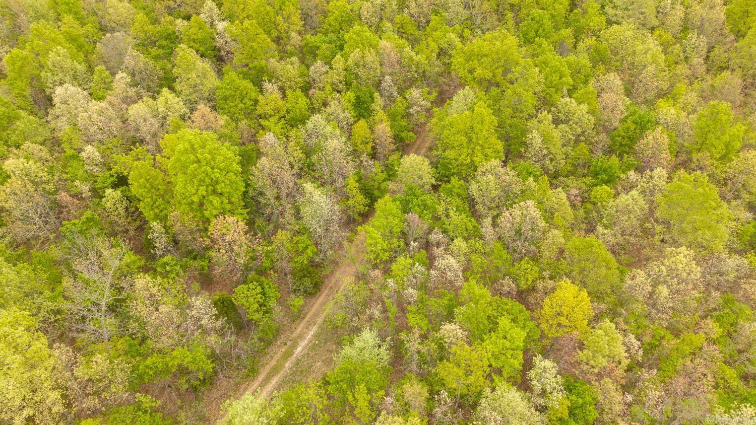 000 Crooked Creek Road  Hartville, MO