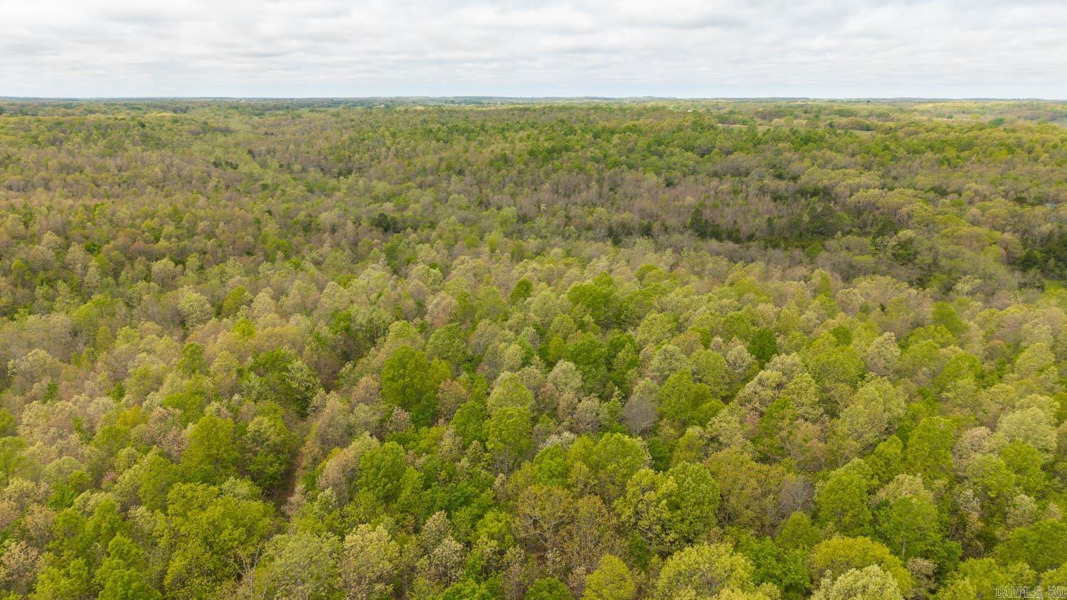 000 Crooked Creek Road  Hartville, MO