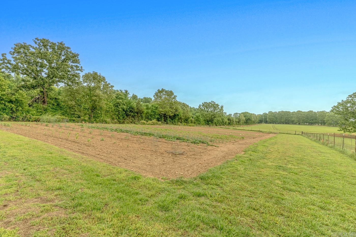 286 Bradford Cemetery  Ravenden, AR