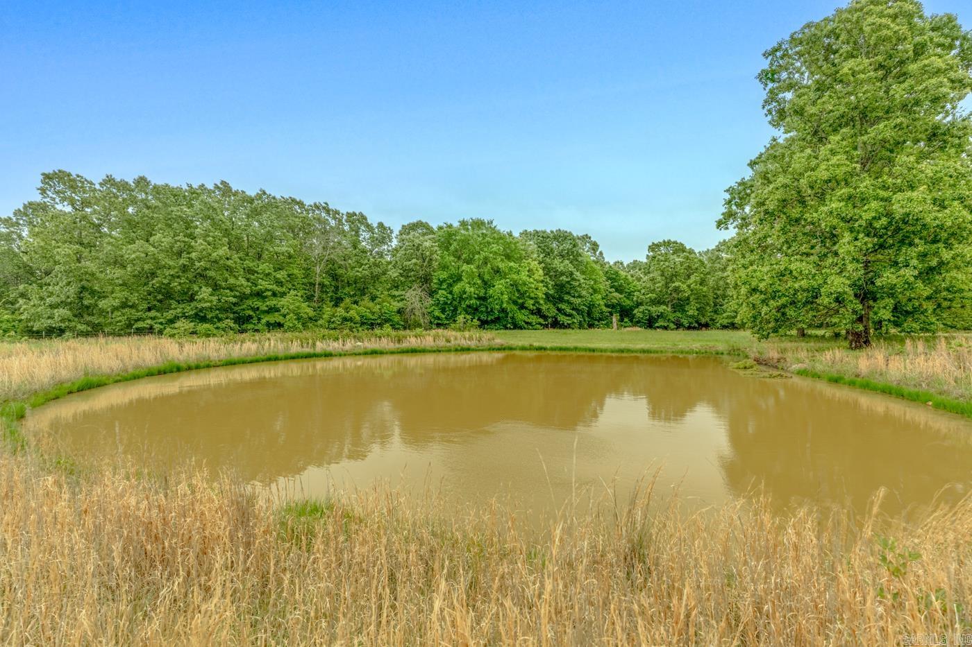 286 Bradford Cemetery  Ravenden, AR