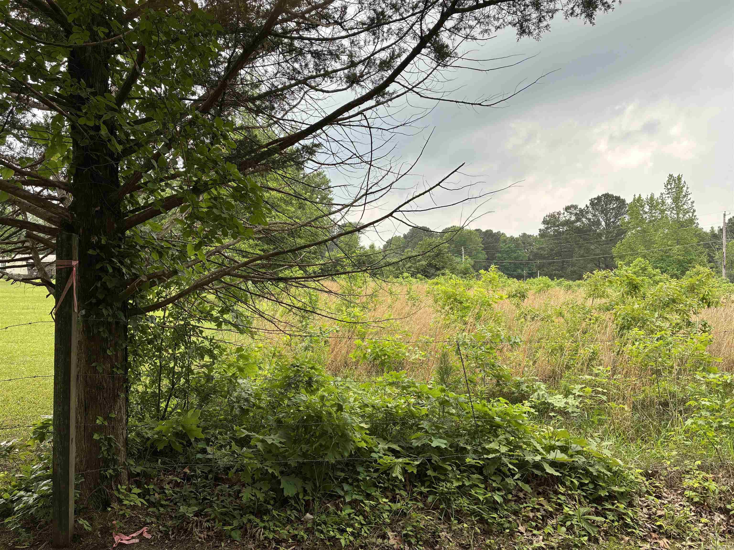 00 pickthorne  Cabot, AR