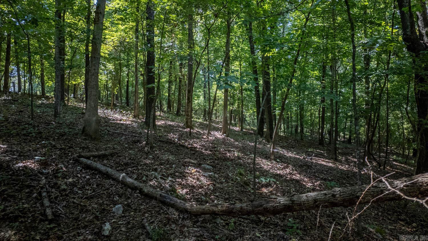 Lots 13 & 14 Riverbend Road  Mammoth Spring, AR