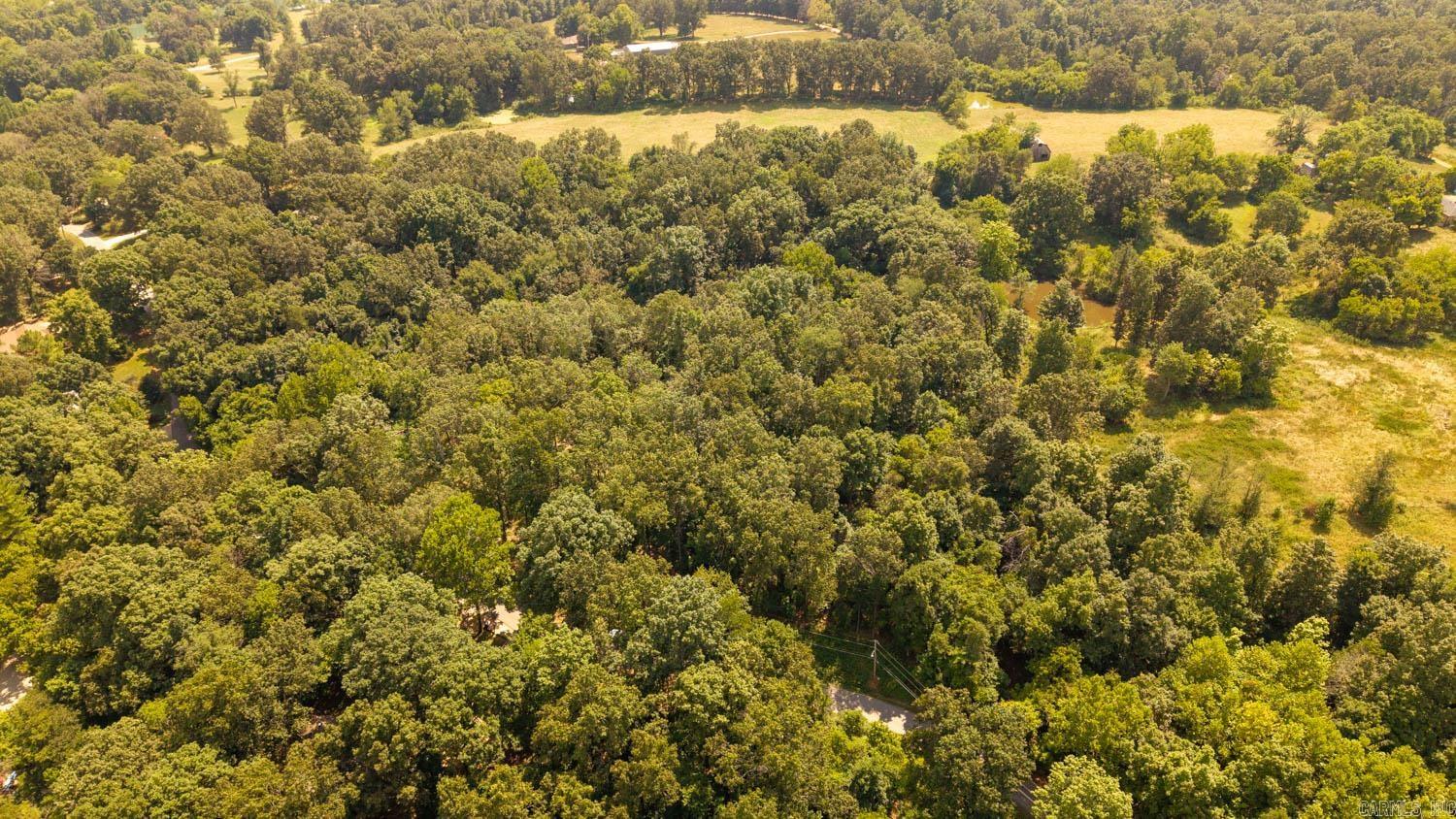 Lots 13 & 14 Riverbend Road  Mammoth Spring, AR