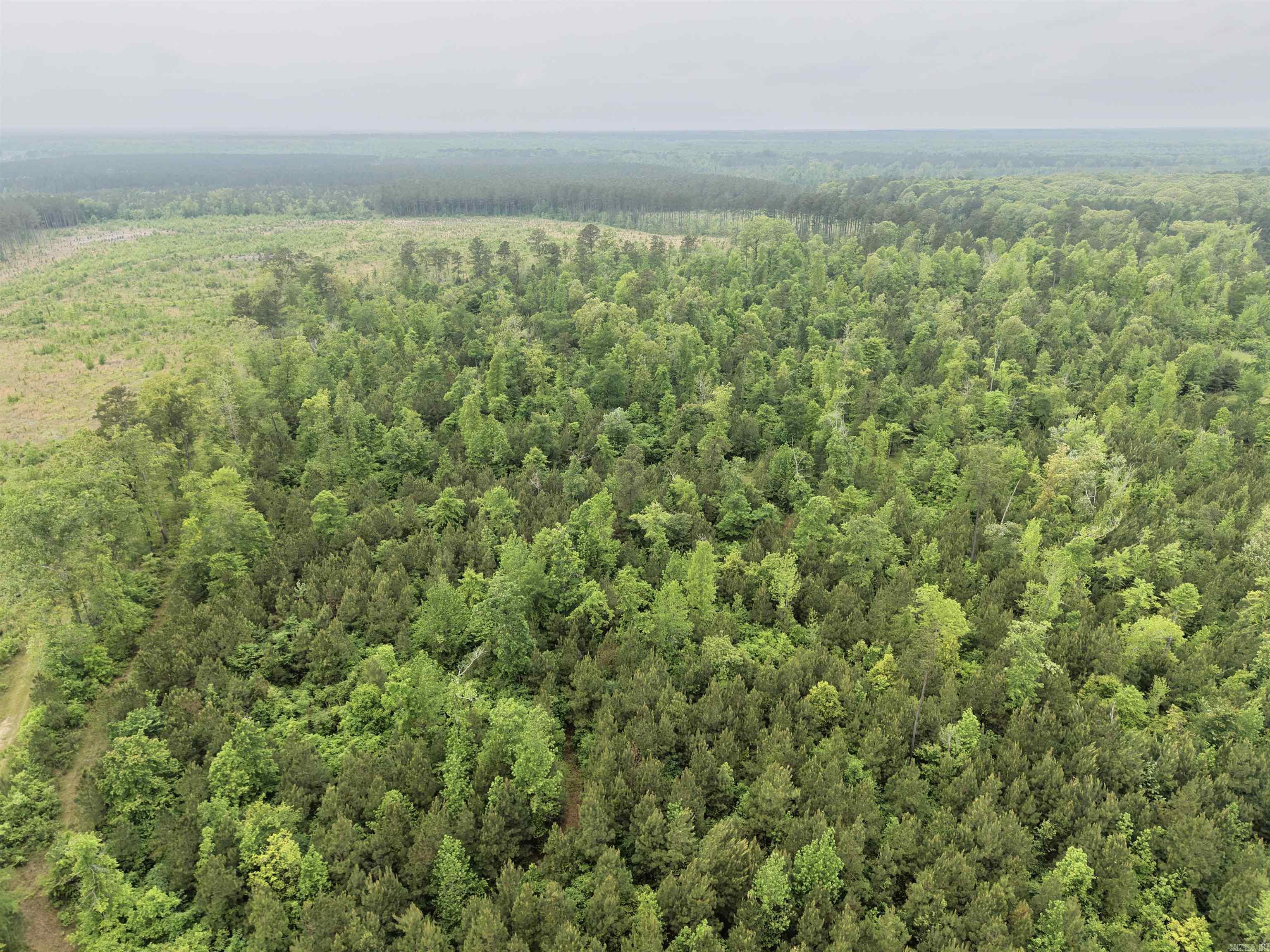 0 Grant County rd 16  Grapevine, AR