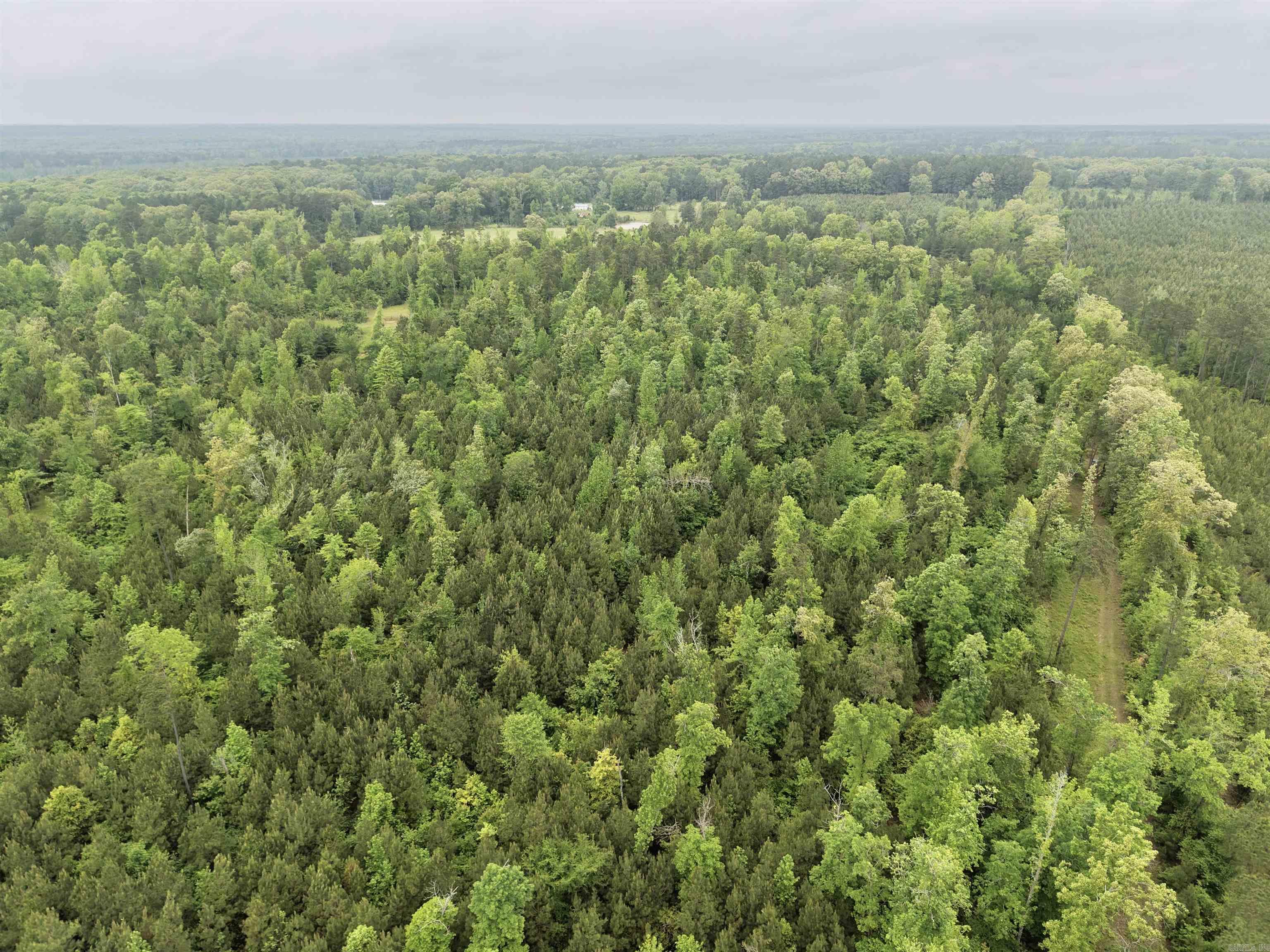 0 Grant County rd 16  Grapevine, AR