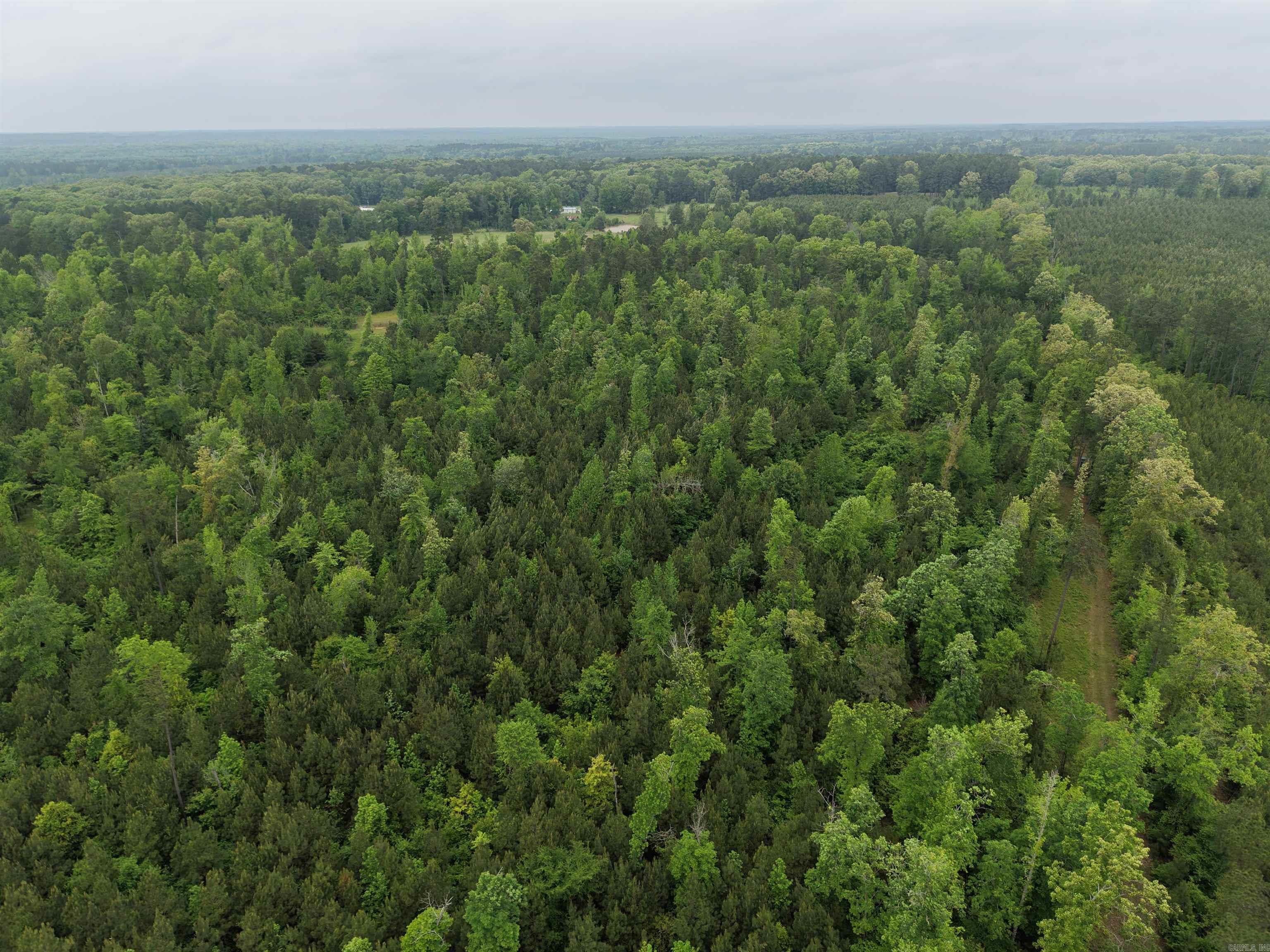 0 Grant County rd 16  Grapevine, AR