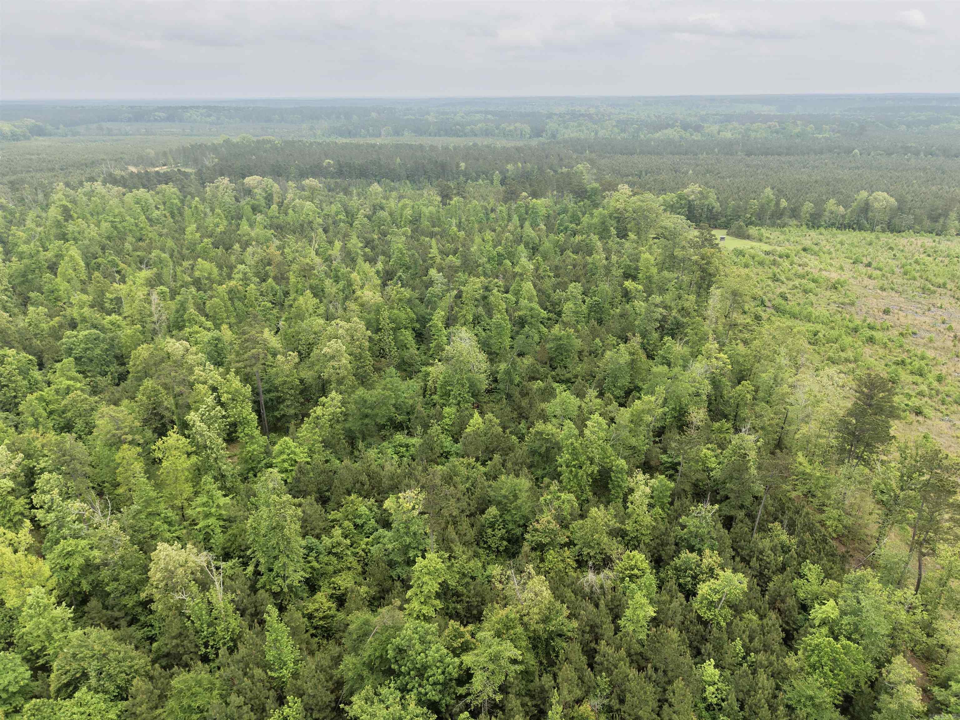 0 Grant County rd 16  Grapevine, AR