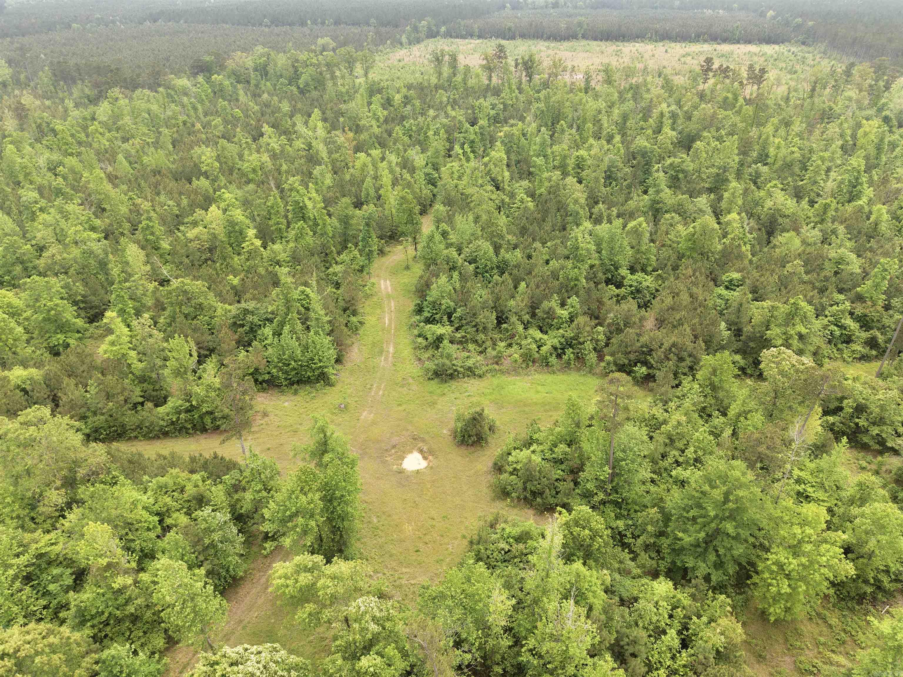 0 Grant County rd 16  Grapevine, AR