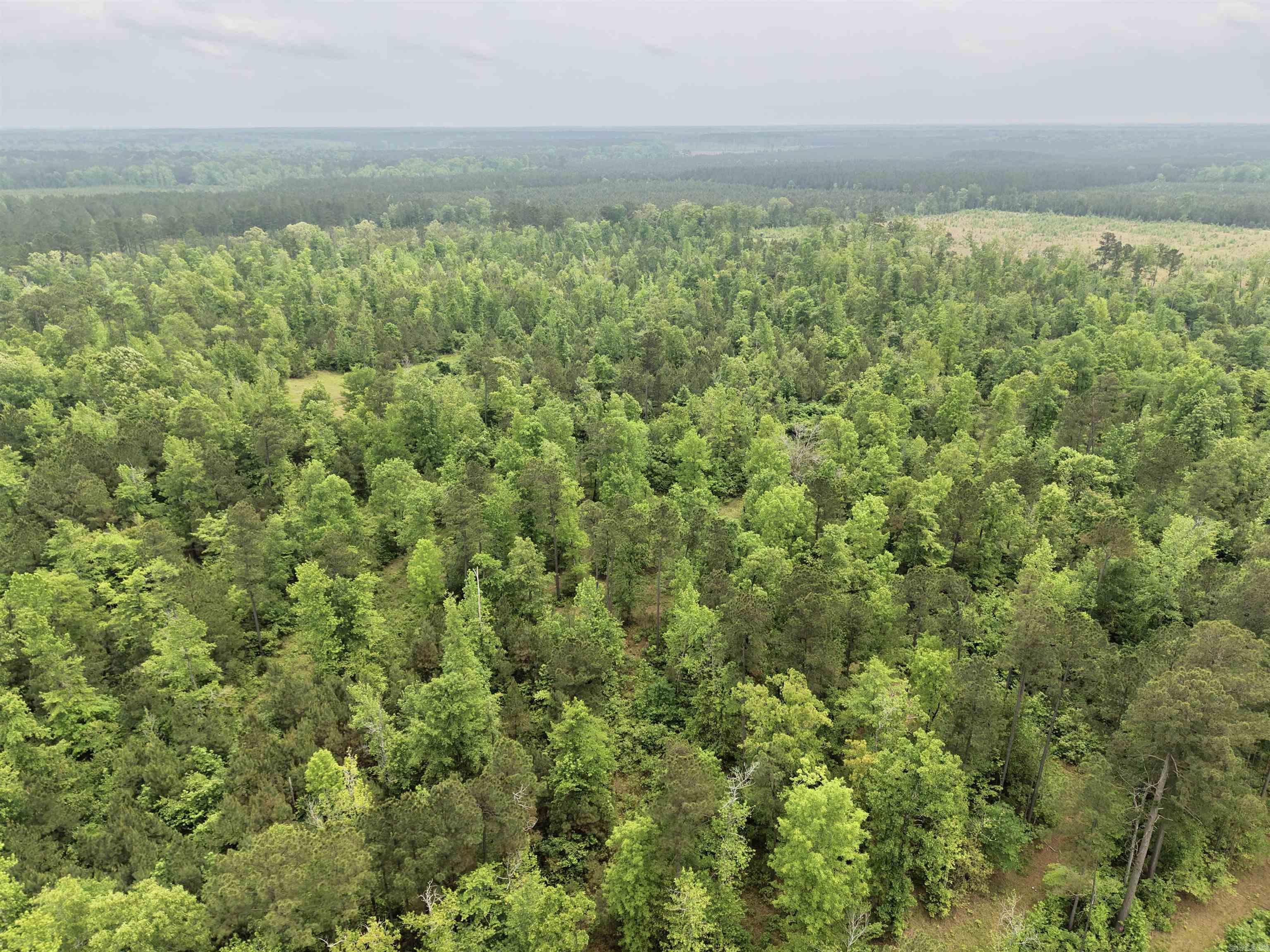 0 Grant County rd 16  Grapevine, AR