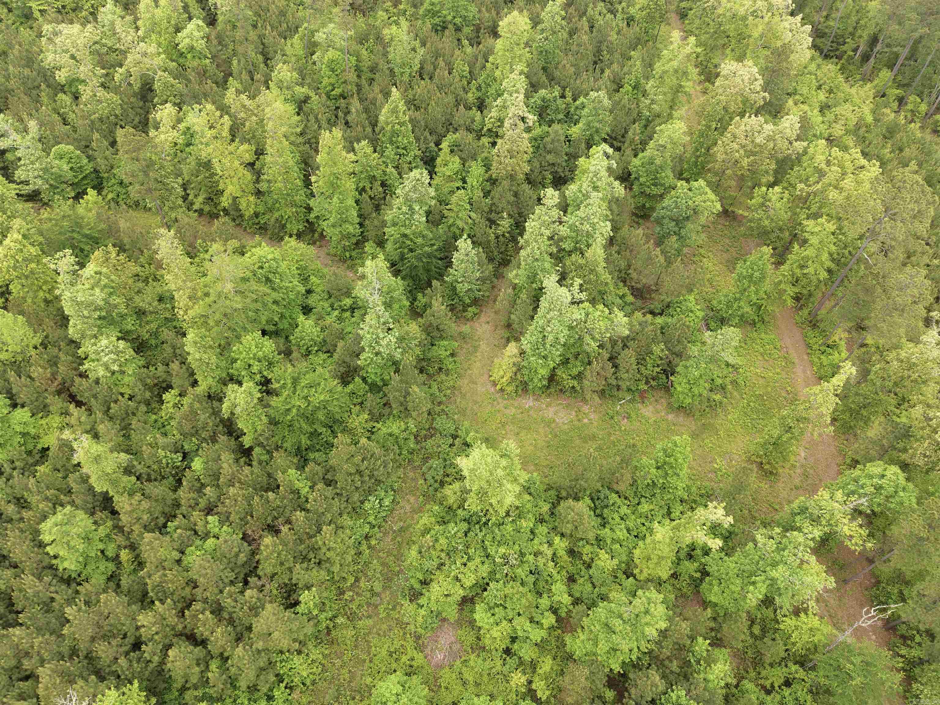 0 Grant County rd 16  Grapevine, AR