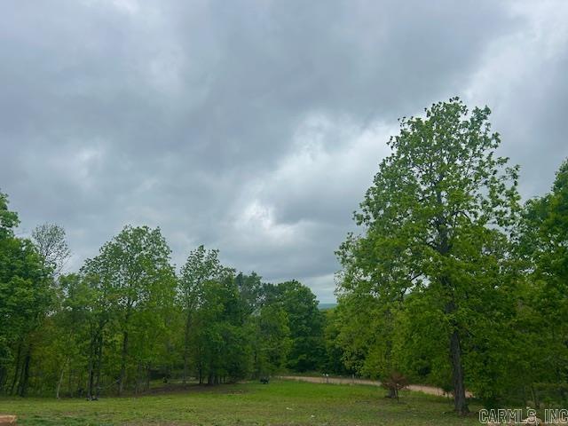 2619 Jimmy Creek  Fox, AR