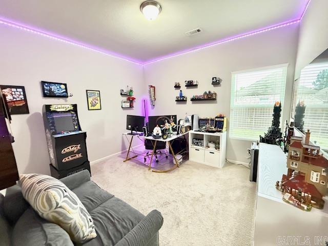 2095 Matthews Meadow  Conway, AR