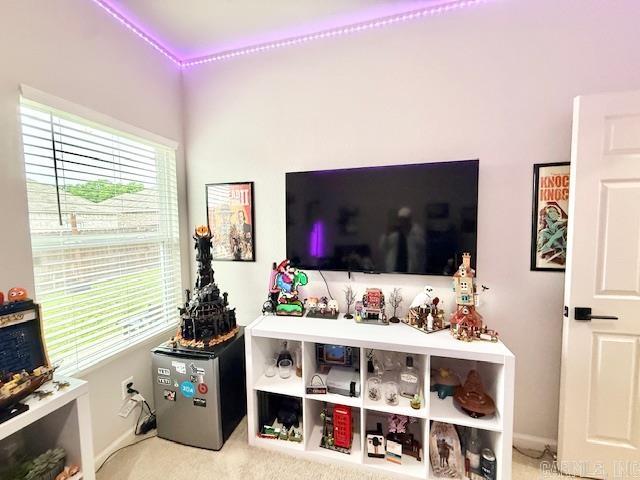 2095 Matthews Meadow  Conway, AR