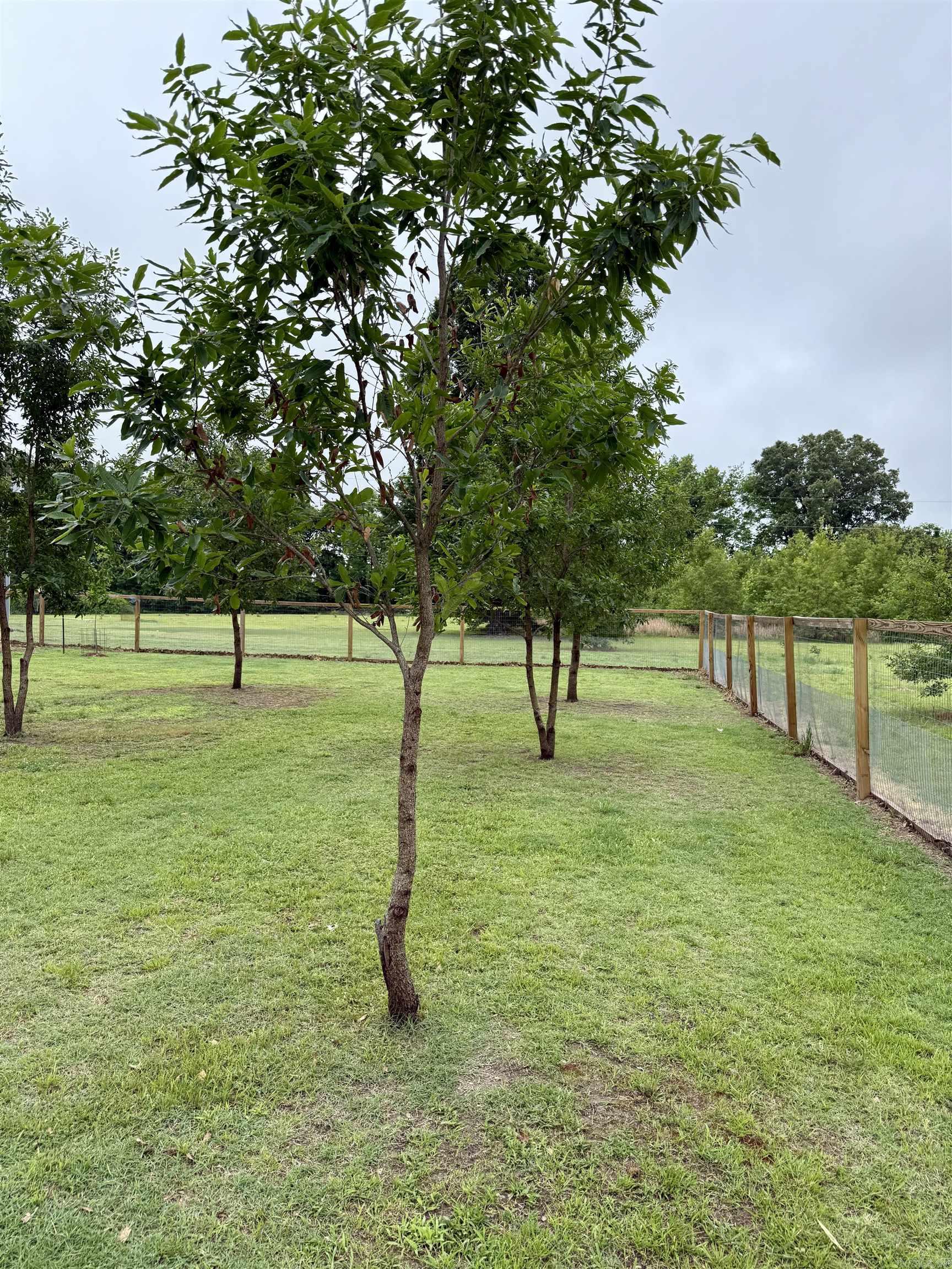 361 Phillips Road 367 Poplar Grove, AR 72374