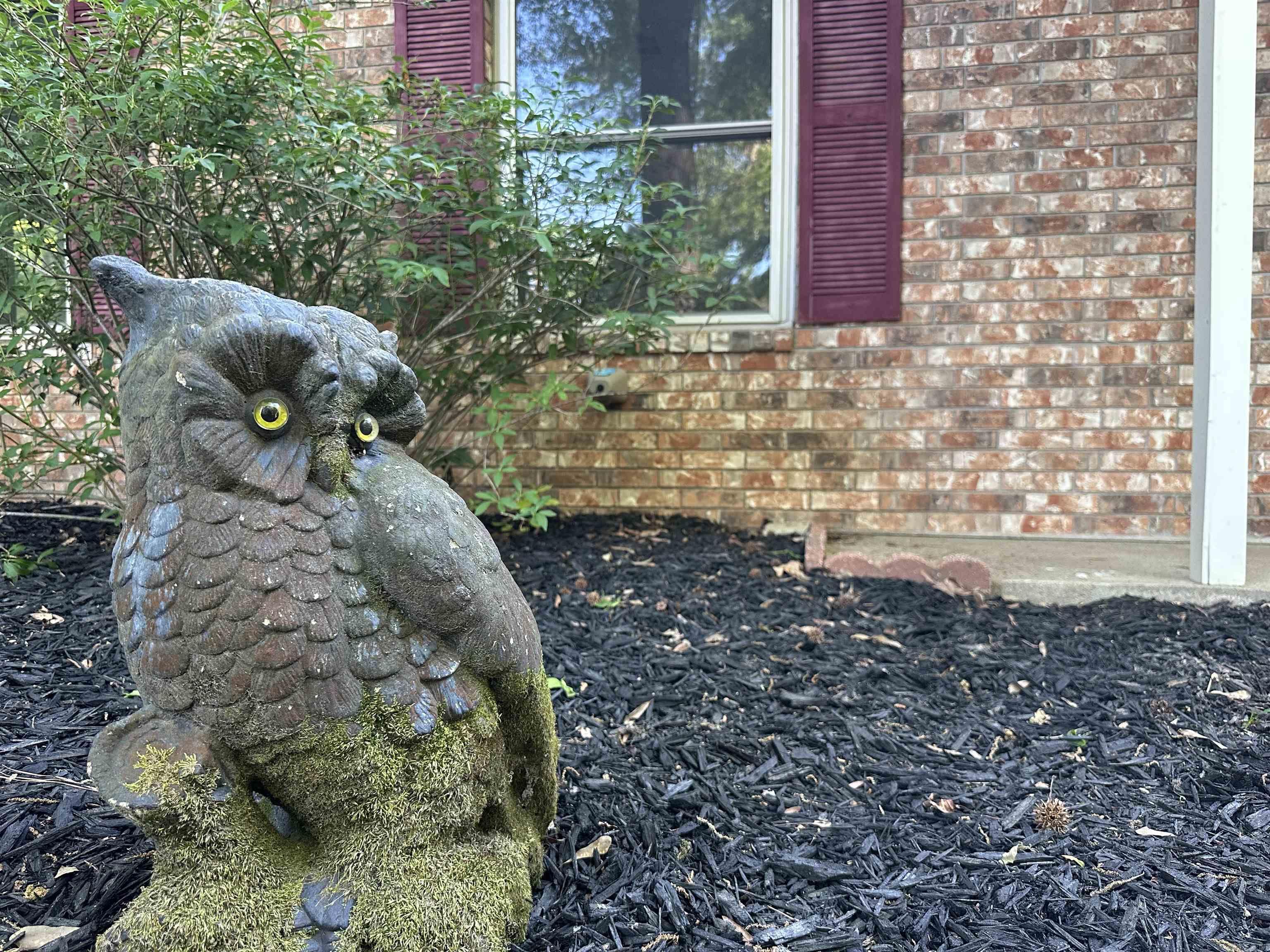 3707 Gattin  Benton, AR