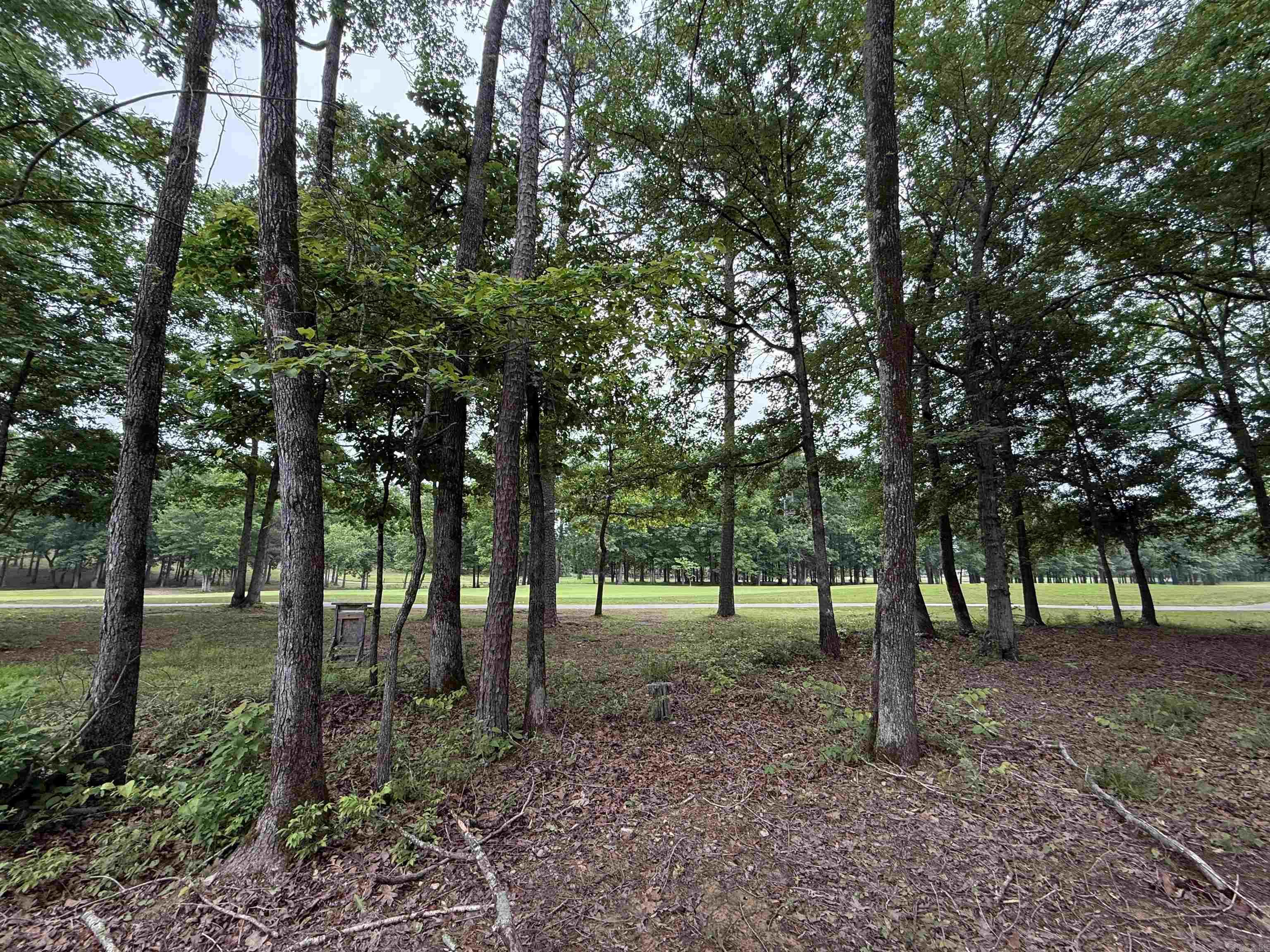 24 Miramont  Little Rock, AR